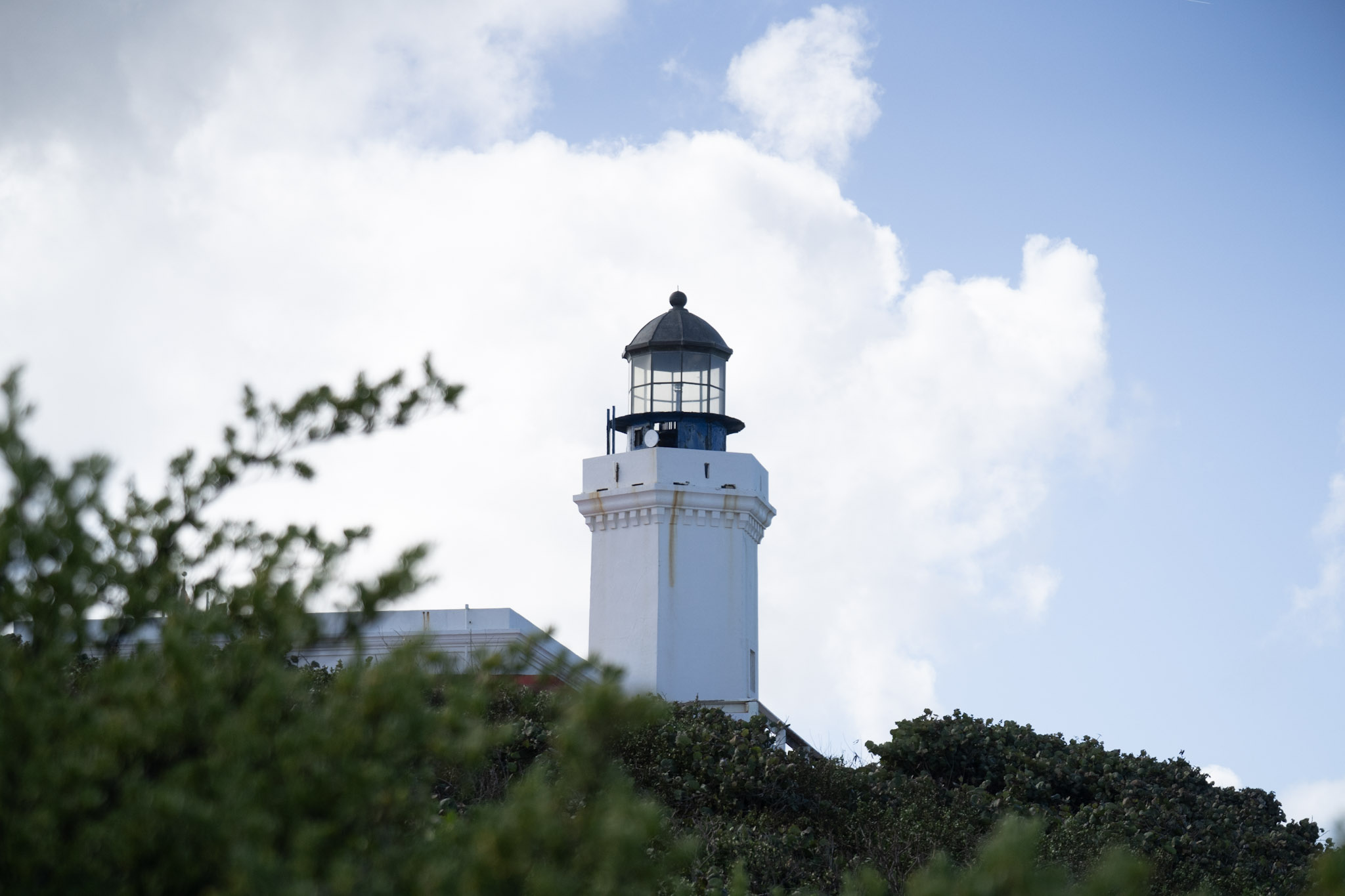 2021-01-02_Arecibo - foto 96