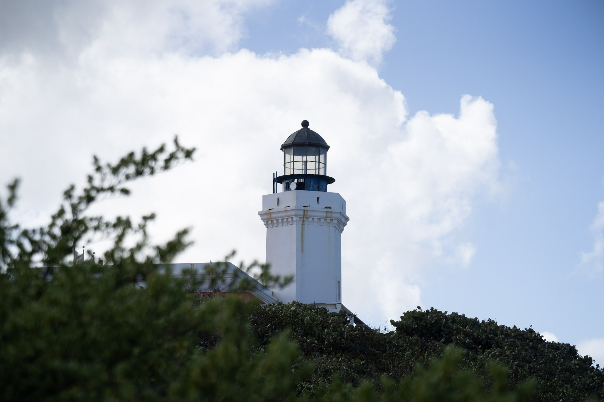 2021-01-02_Arecibo - foto 97