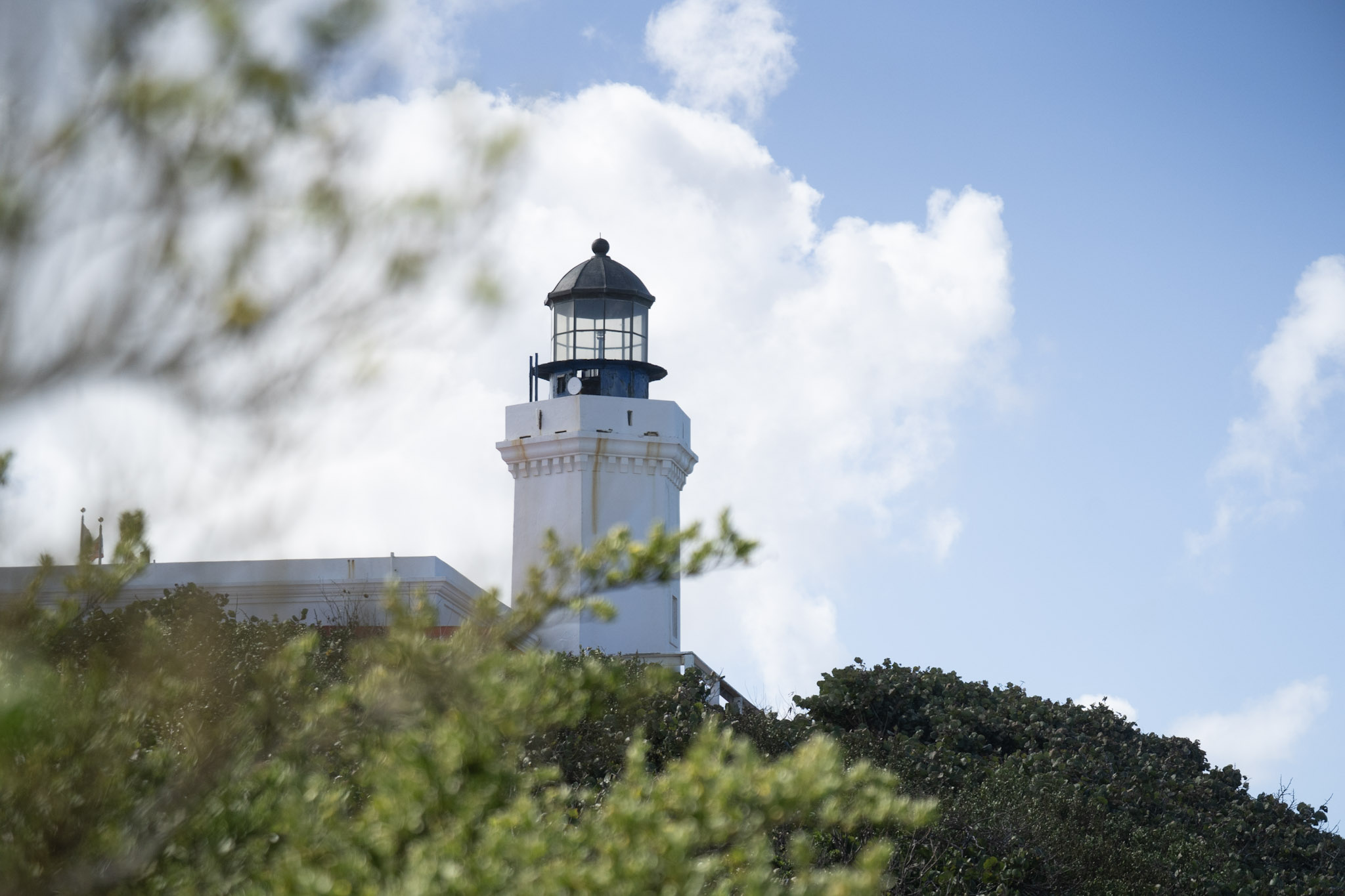 2021-01-02_Arecibo - foto 98