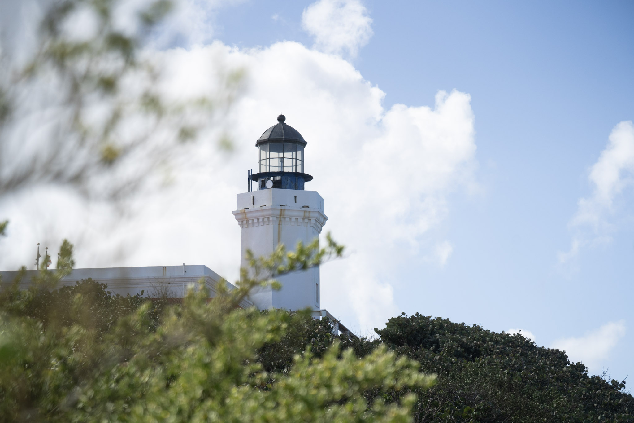 2021-01-02_Arecibo - foto 99