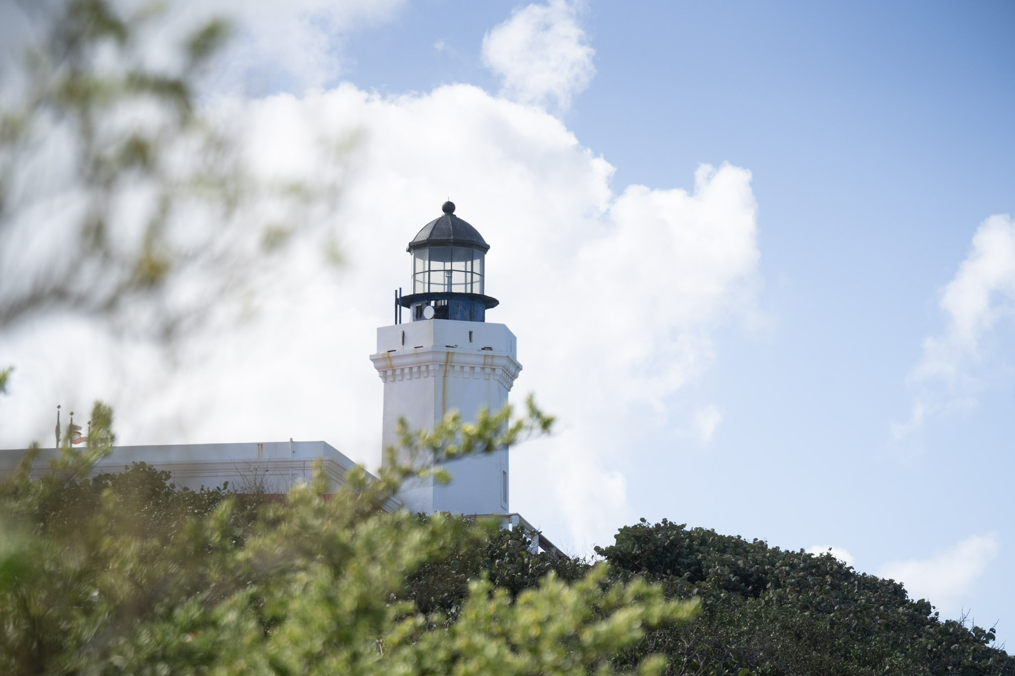 2021-01-02_Arecibo - foto 100