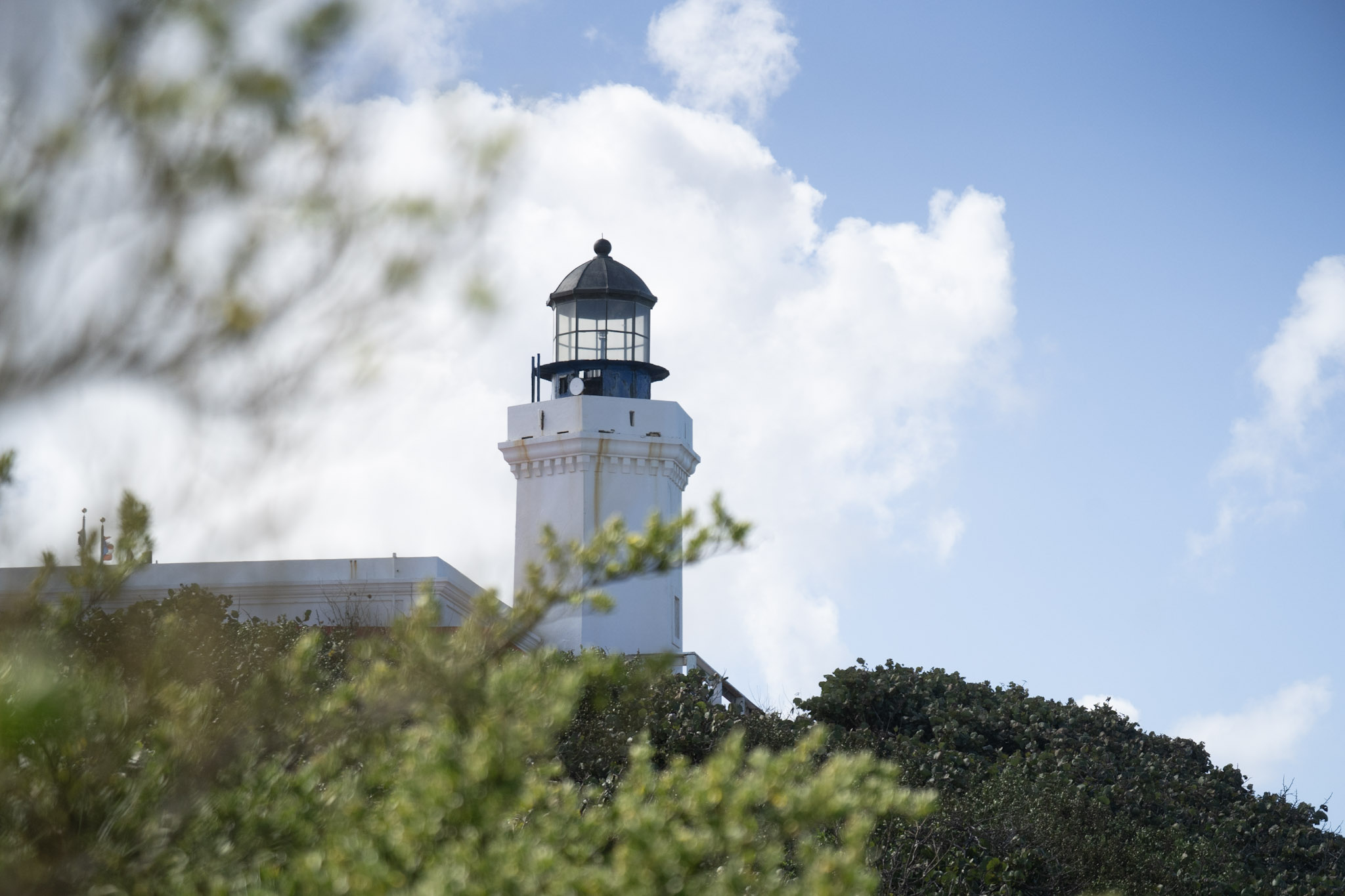 2021-01-02_Arecibo - foto 101