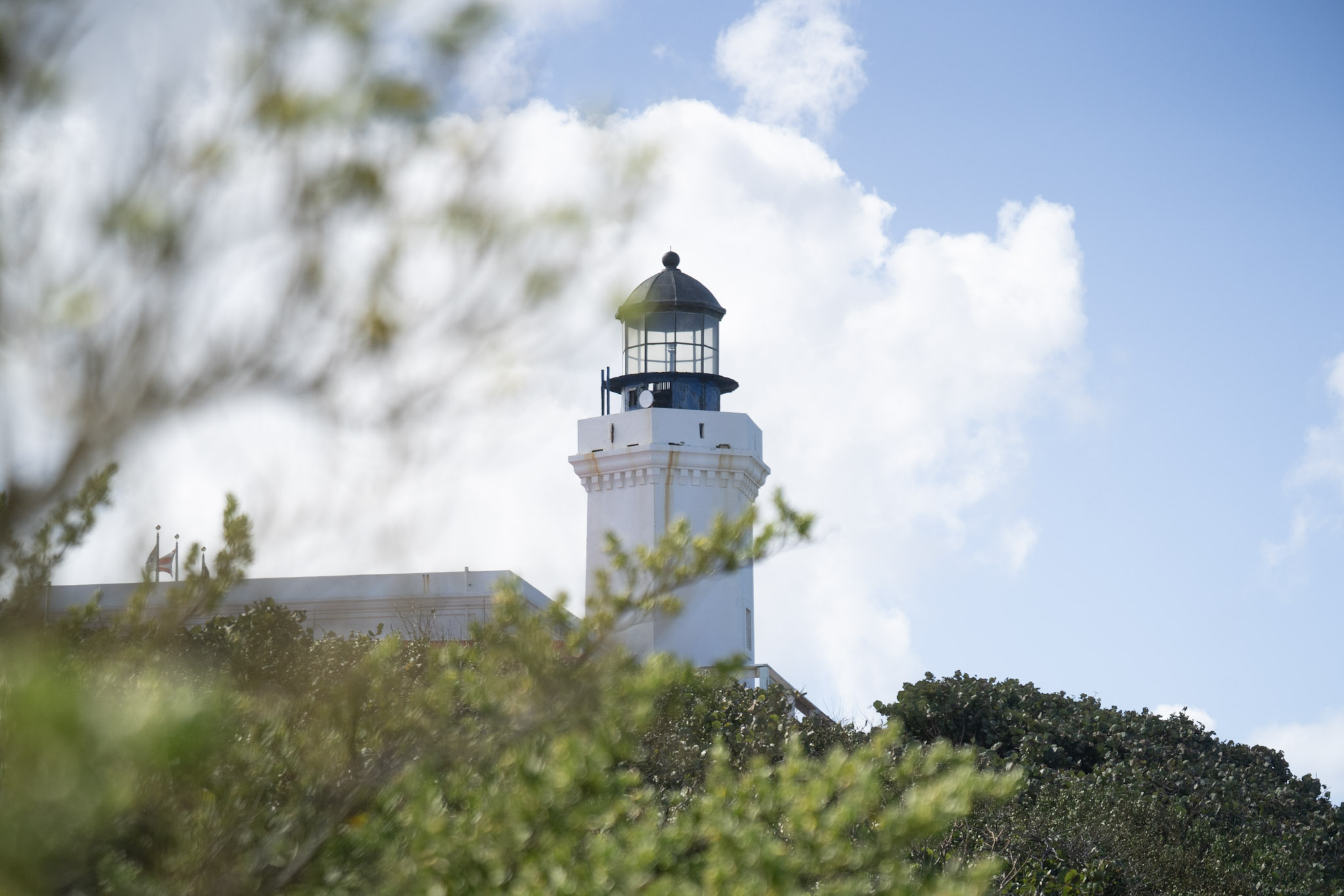 2021-01-02_Arecibo - foto 102