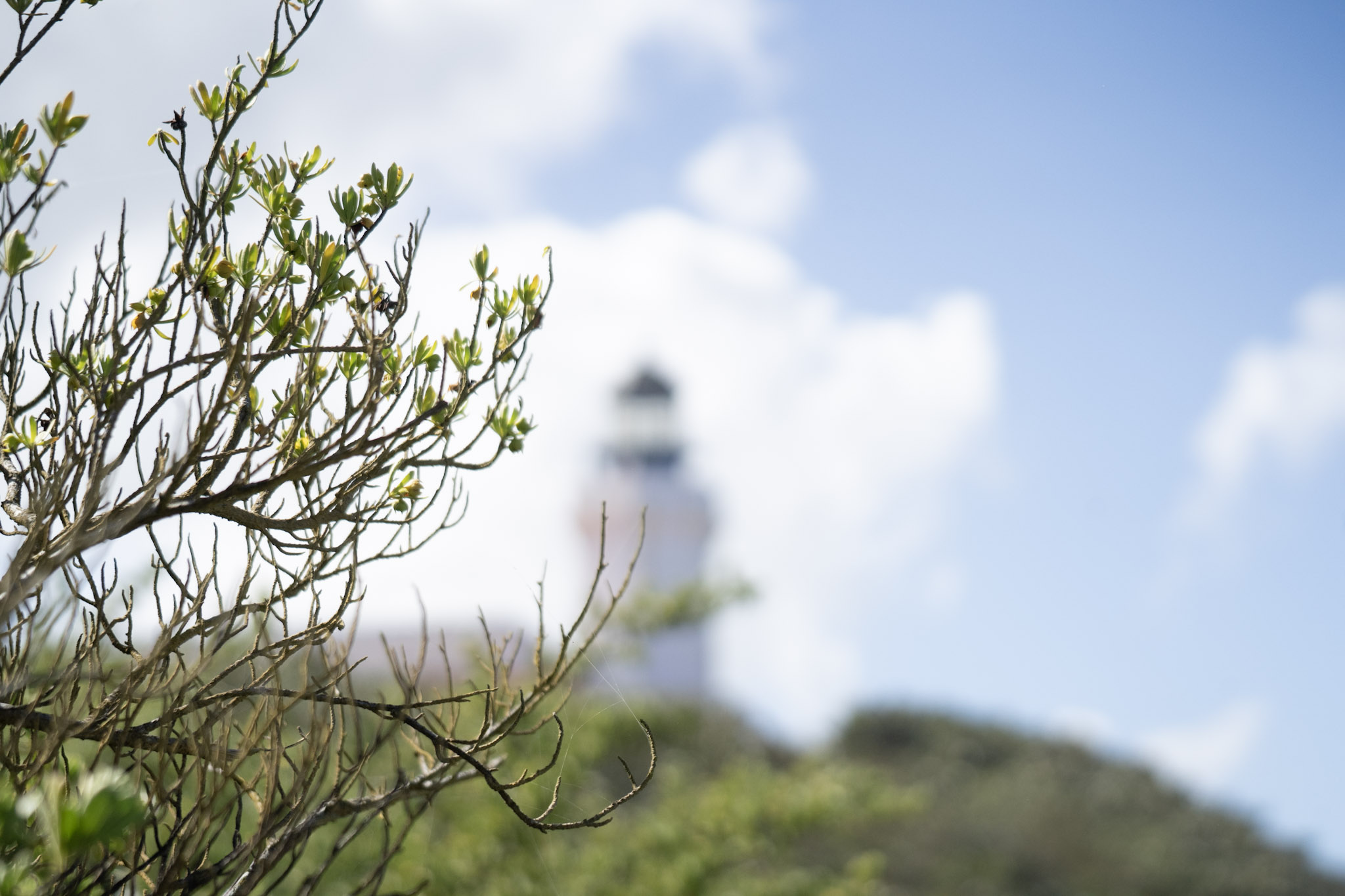 2021-01-02_Arecibo - foto 103