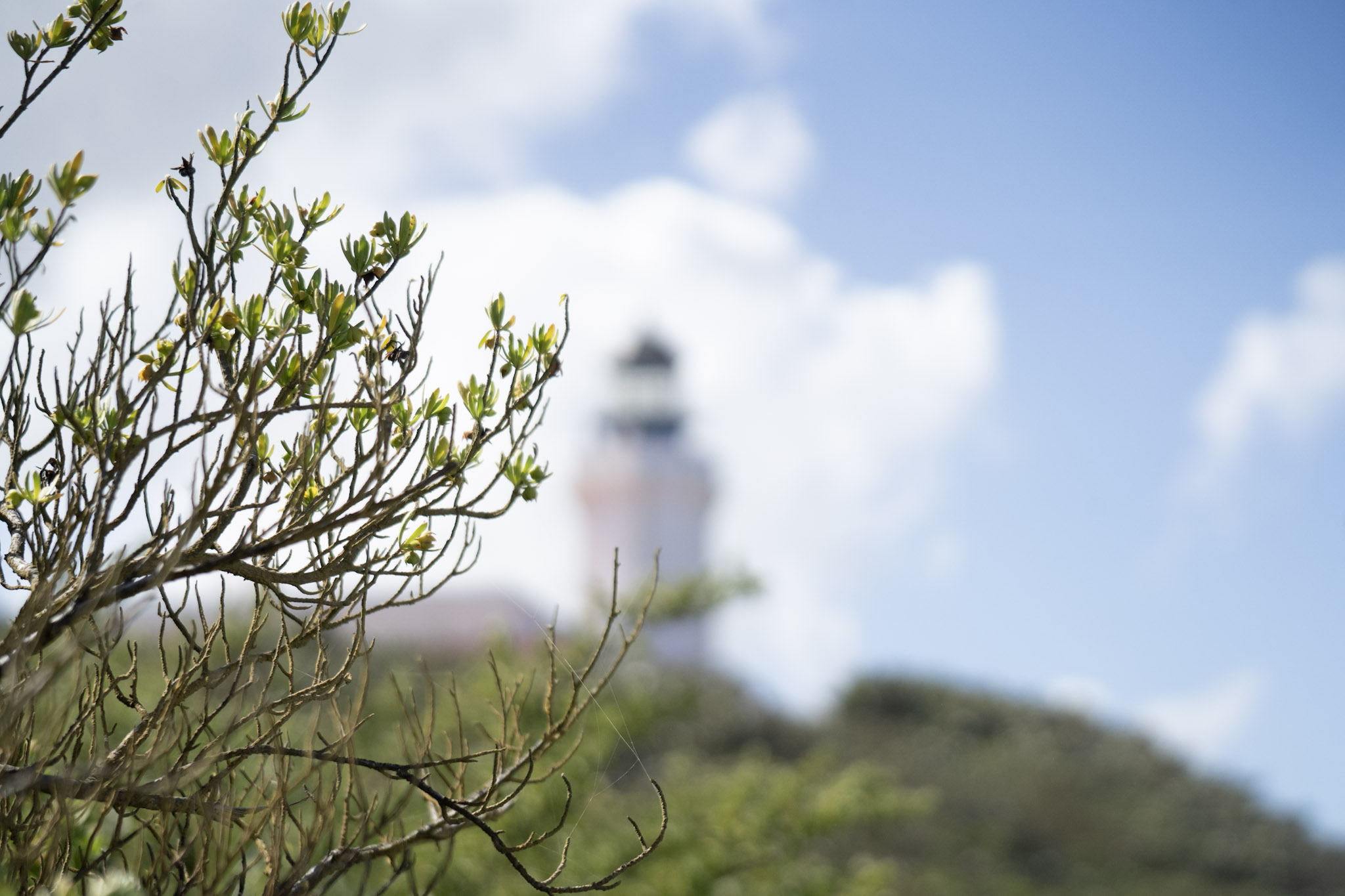 2021-01-02_Arecibo - foto 105