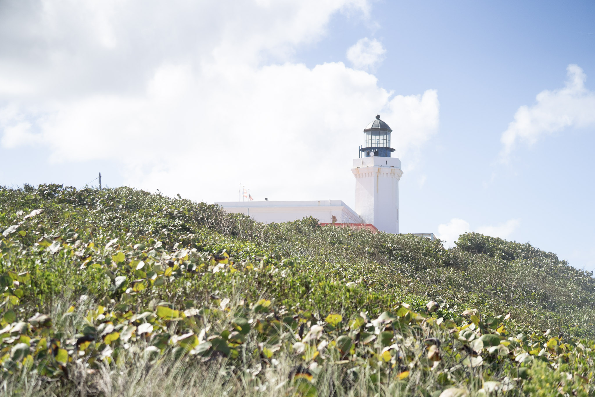 2021-01-02_Arecibo - foto 106