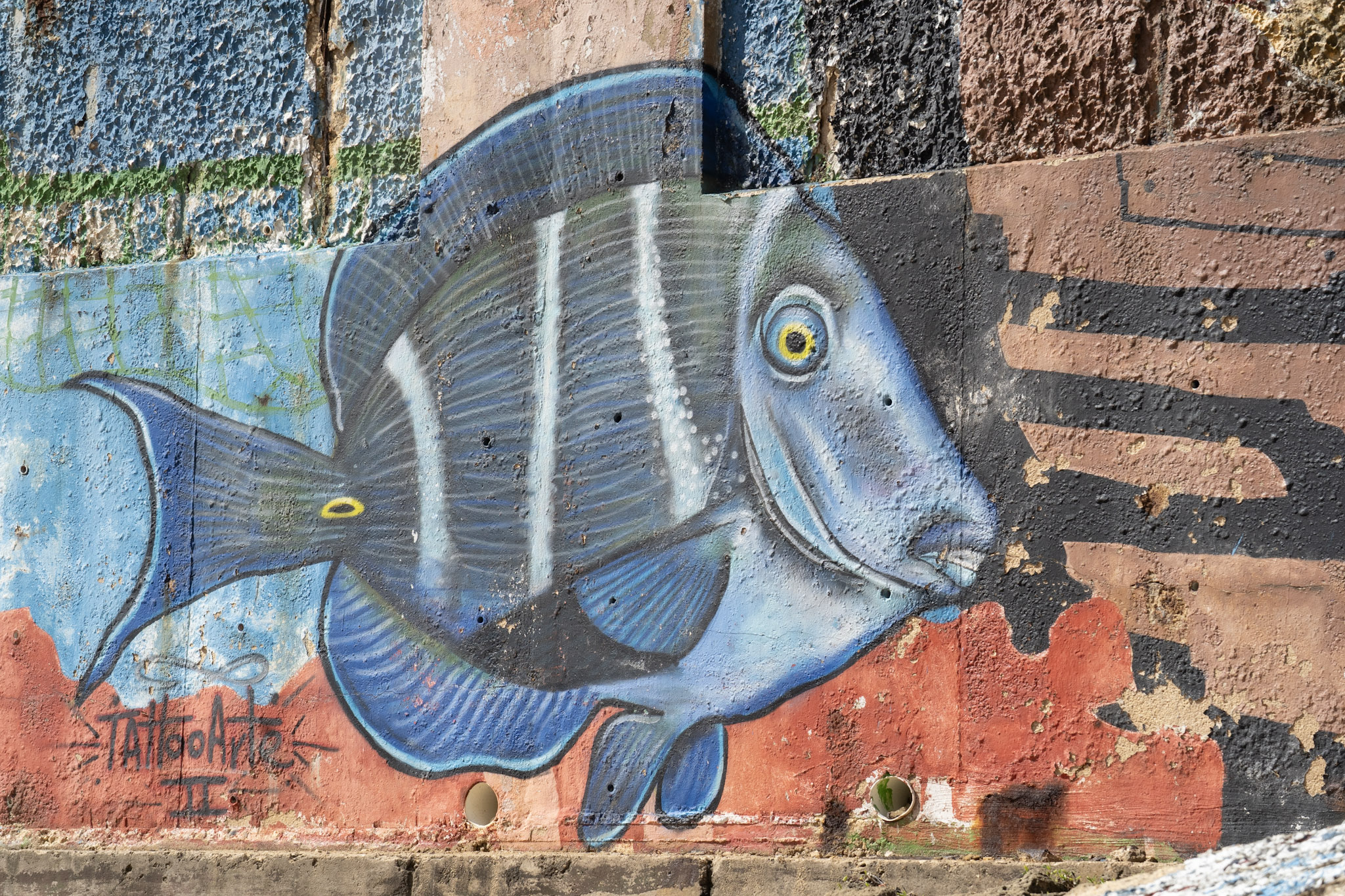 2021-01-02_Arecibo - foto 111