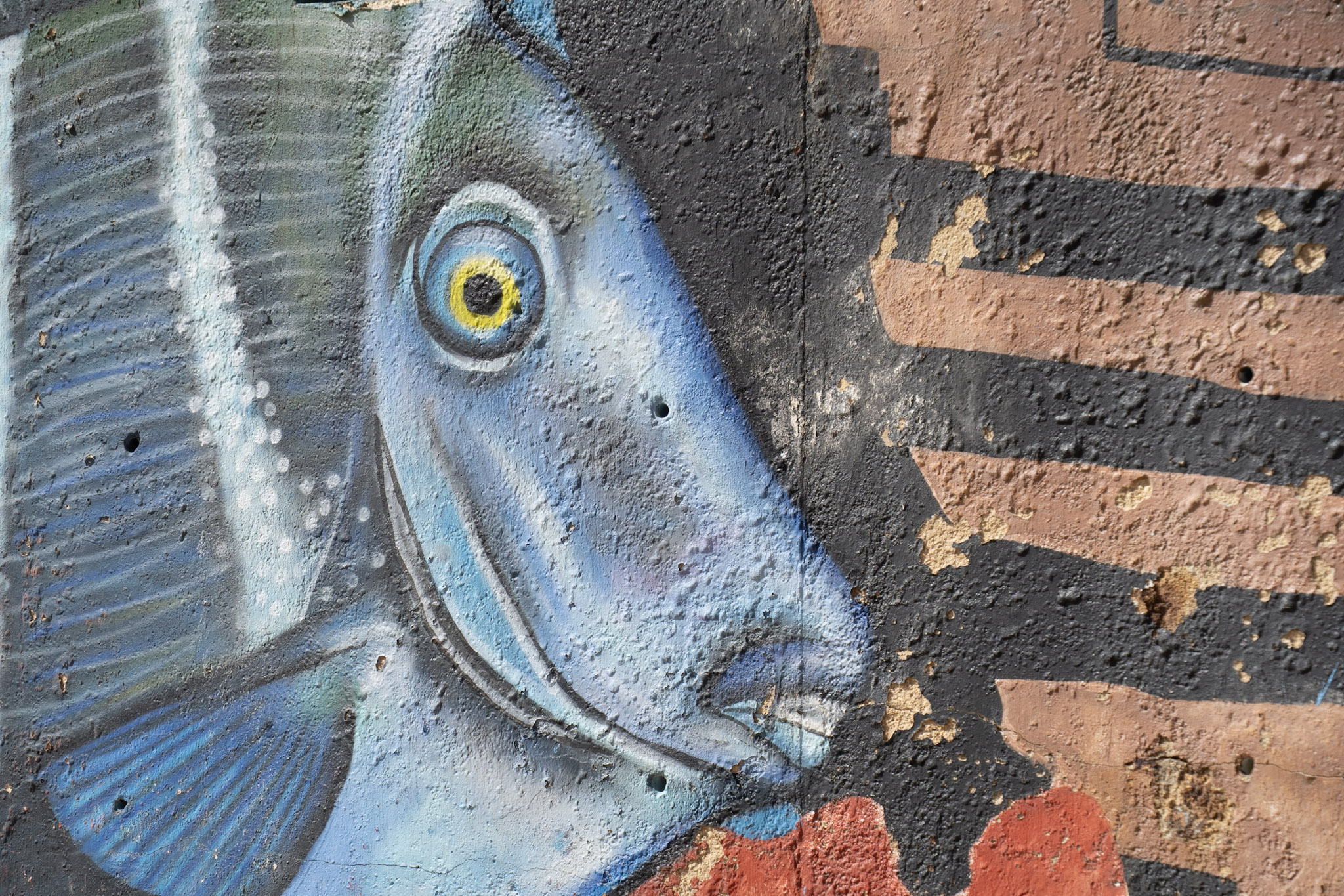 2021-01-02_Arecibo - foto 112