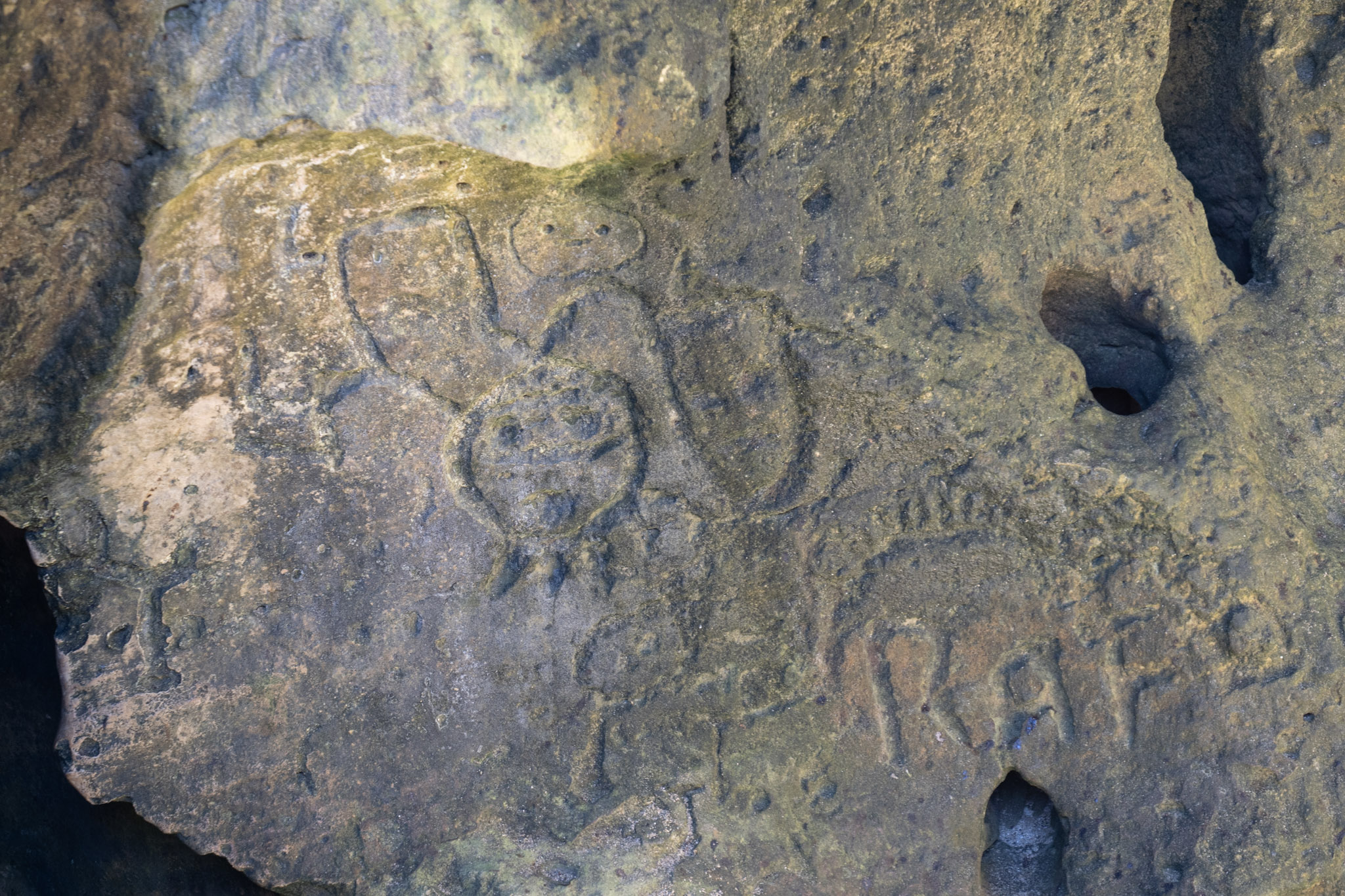 2021-01-02_Arecibo - foto 123