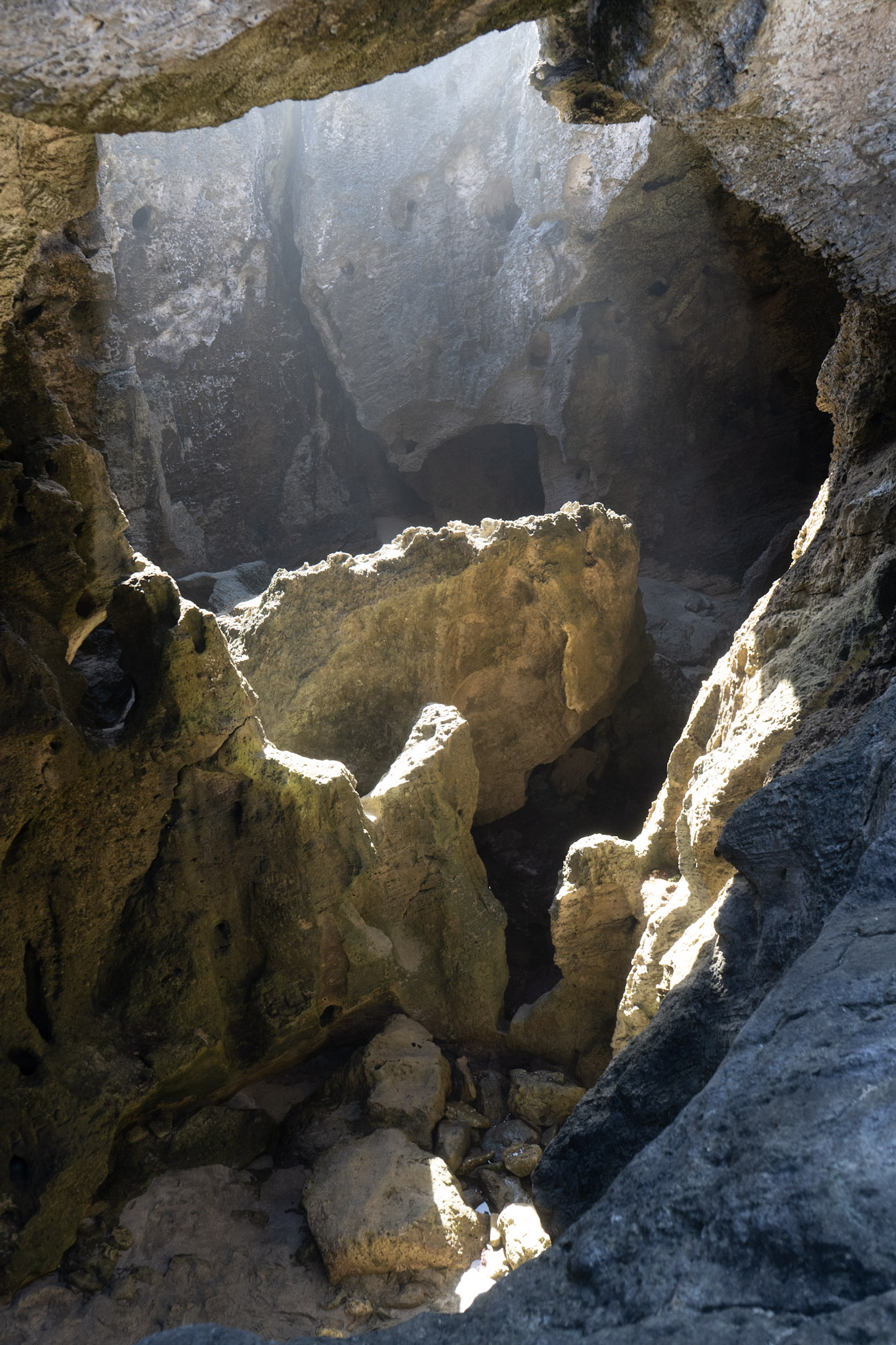 2021-01-02_Arecibo - foto 150