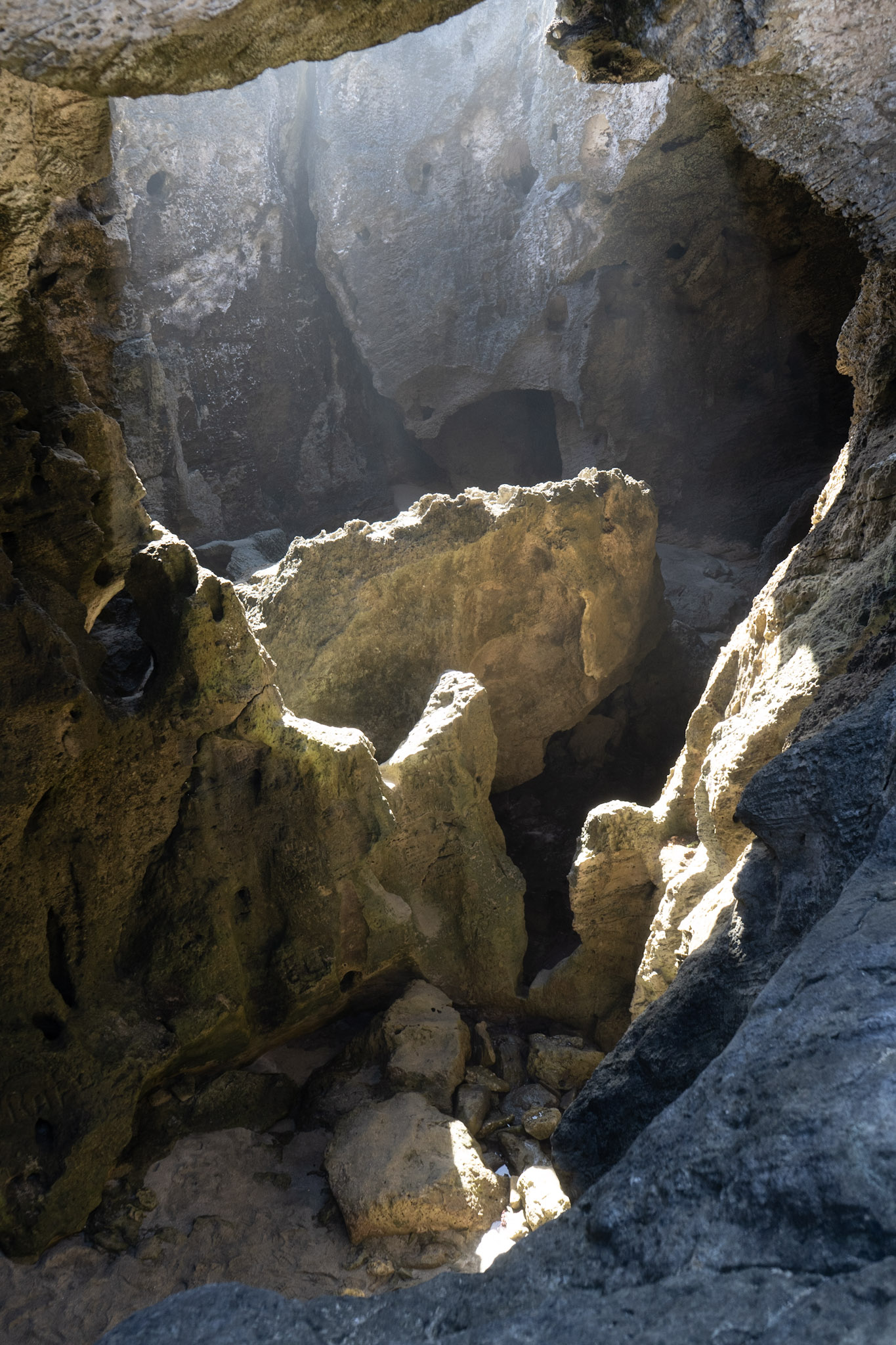 2021-01-02_Arecibo - foto 151