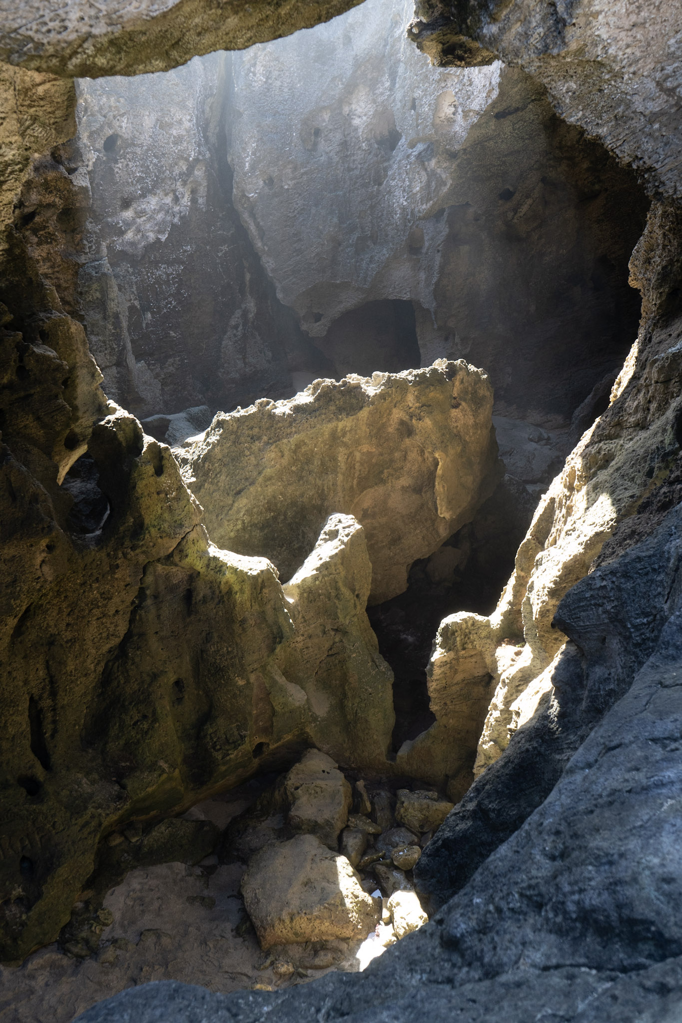 2021-01-02_Arecibo - foto 152