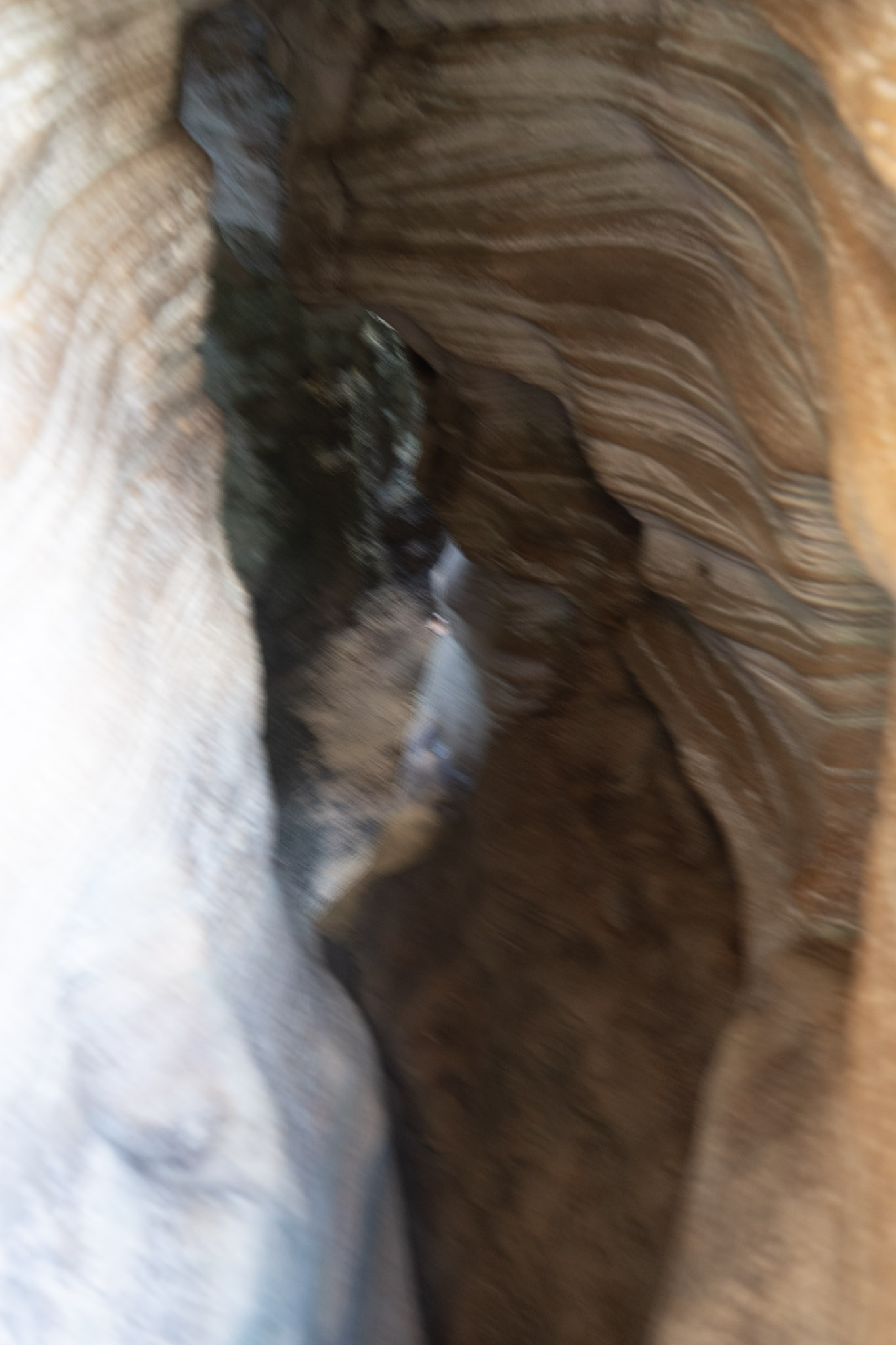 2021-01-02_Arecibo - foto 155