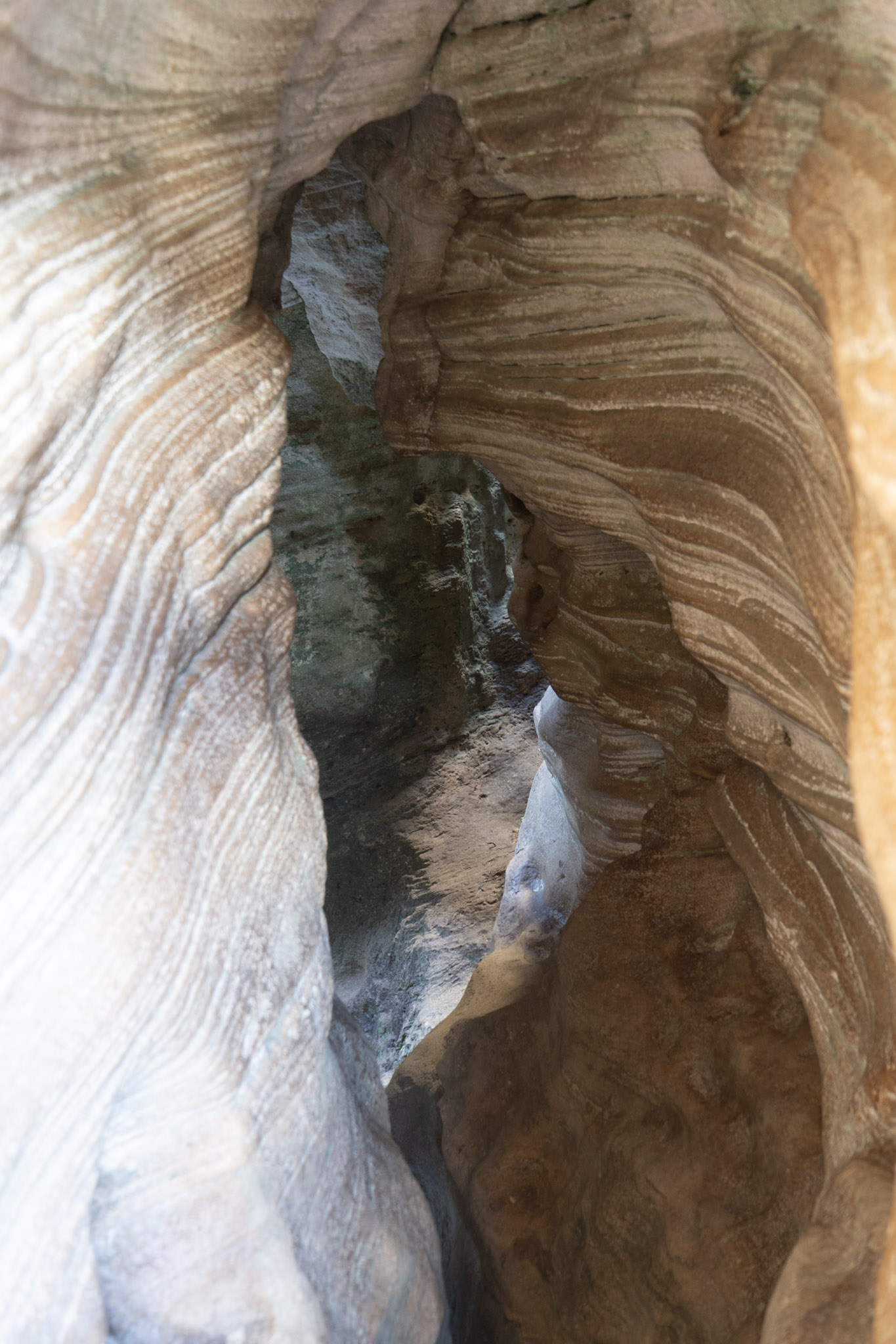 2021-01-02_Arecibo - foto 156