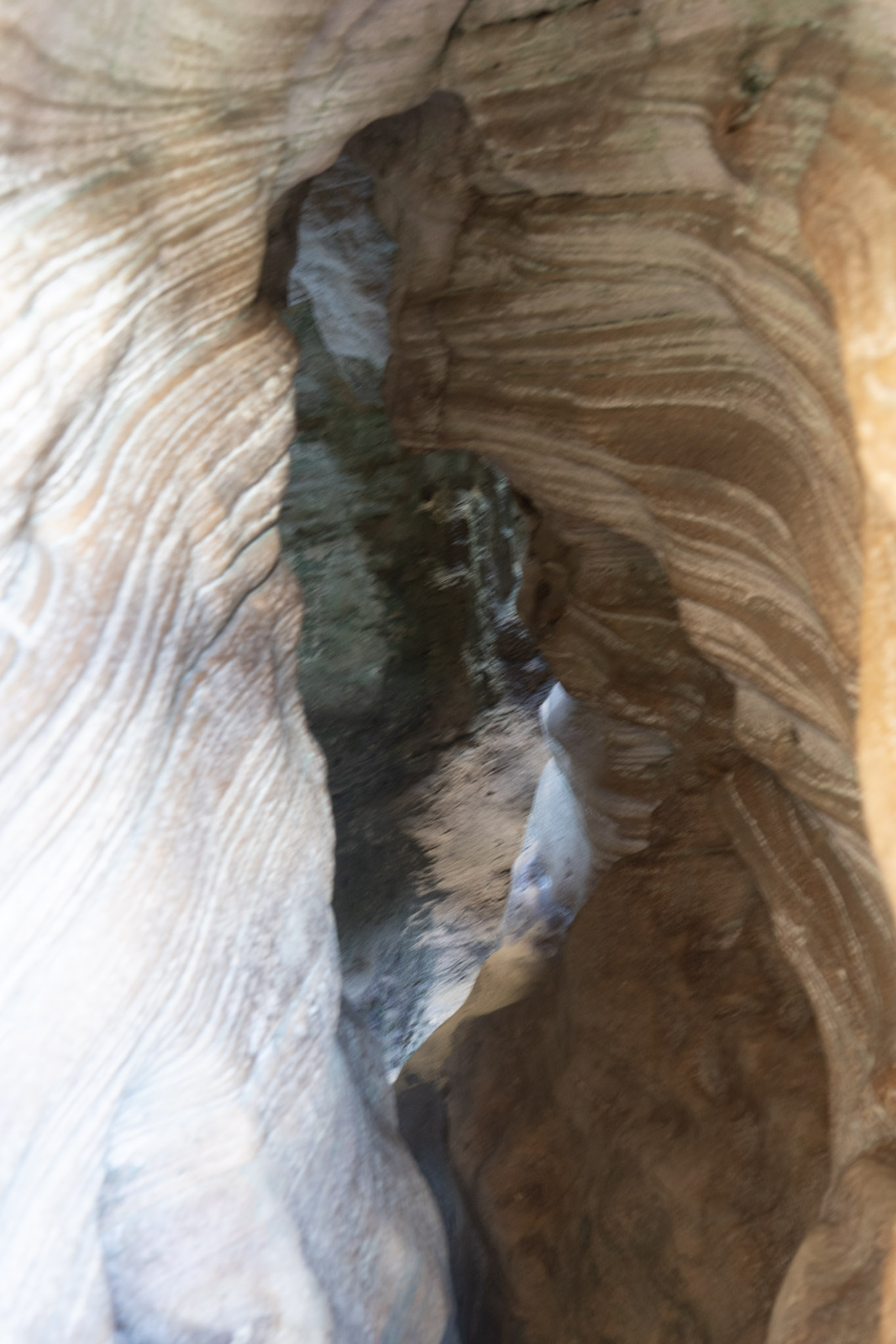 2021-01-02_Arecibo - foto 157