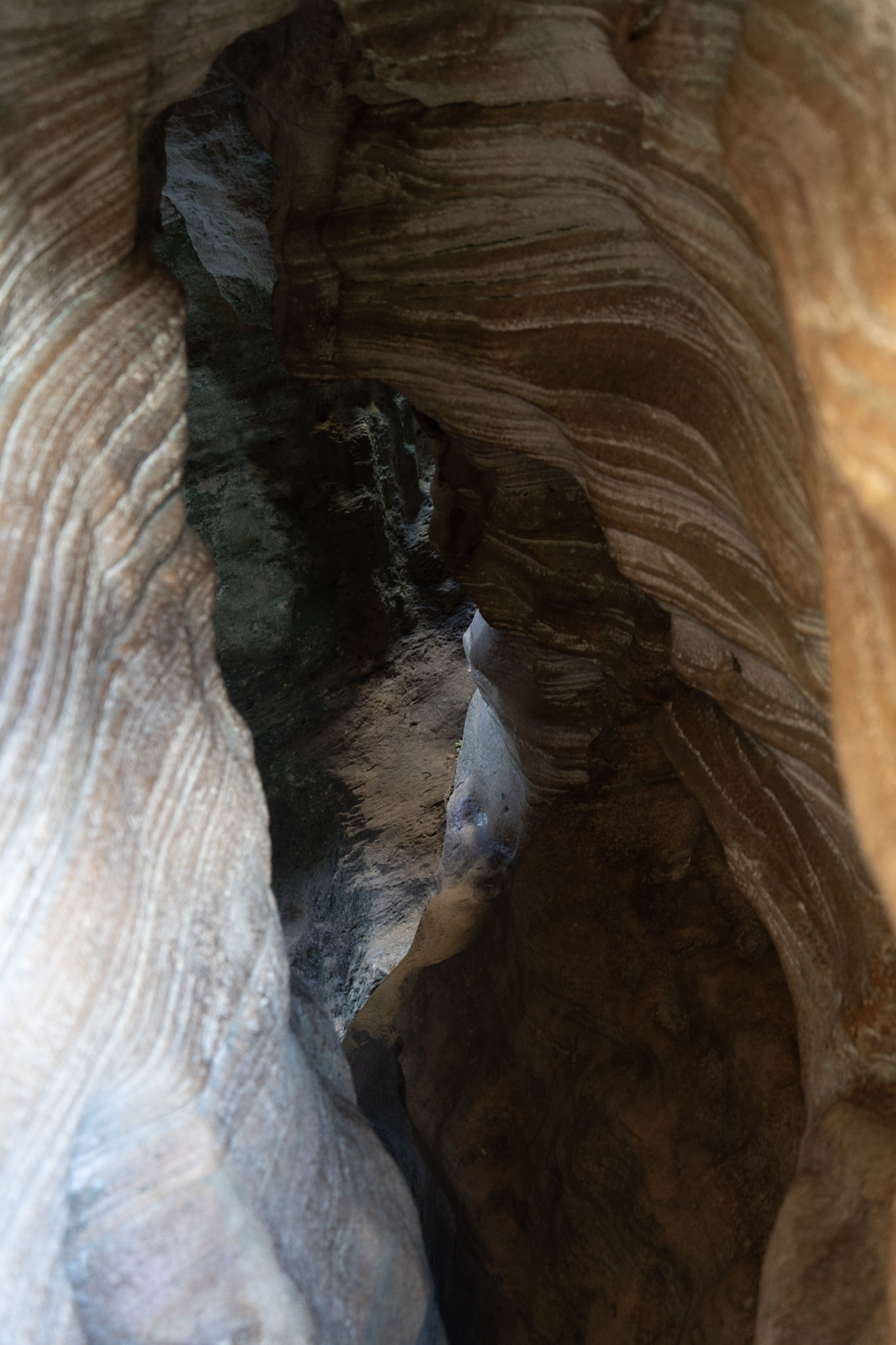 2021-01-02_Arecibo - foto 163