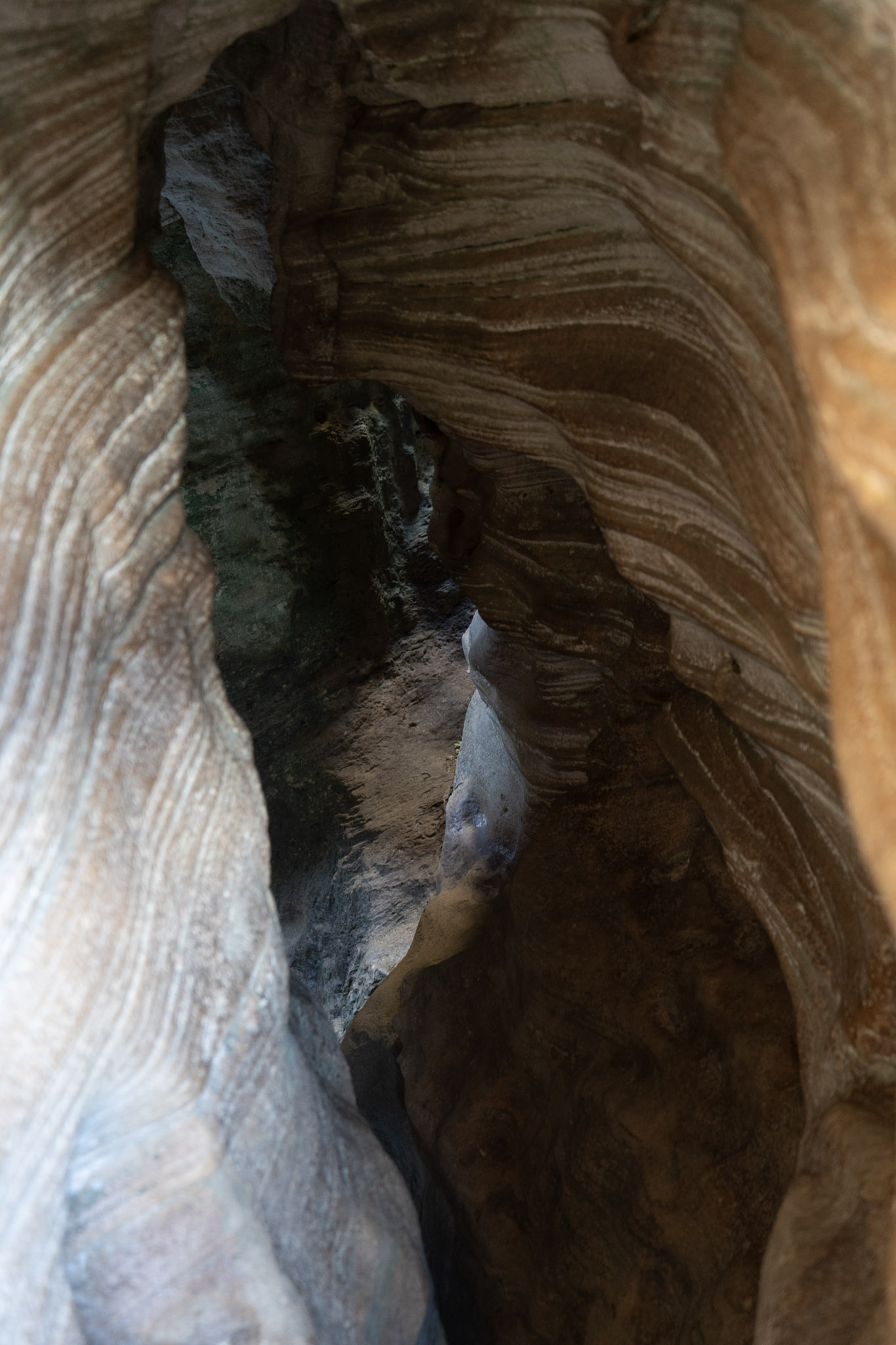 2021-01-02_Arecibo - foto 164