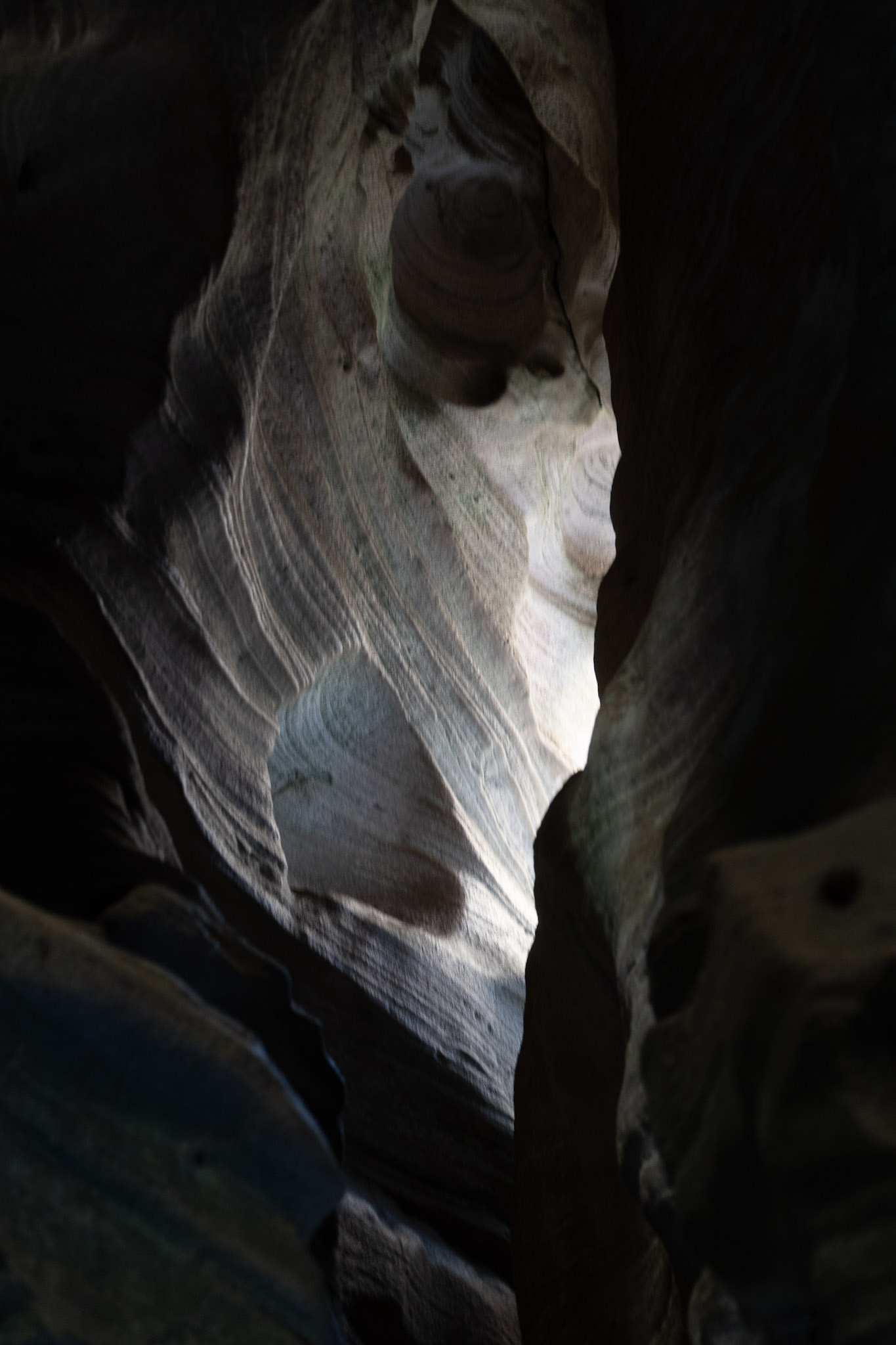 2021-01-02_Arecibo - foto 165