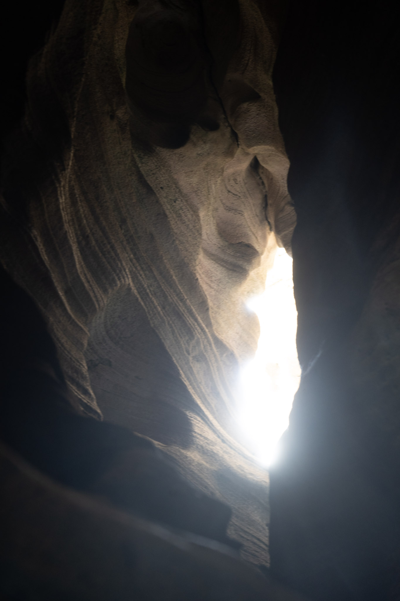 2021-01-02_Arecibo - foto 166