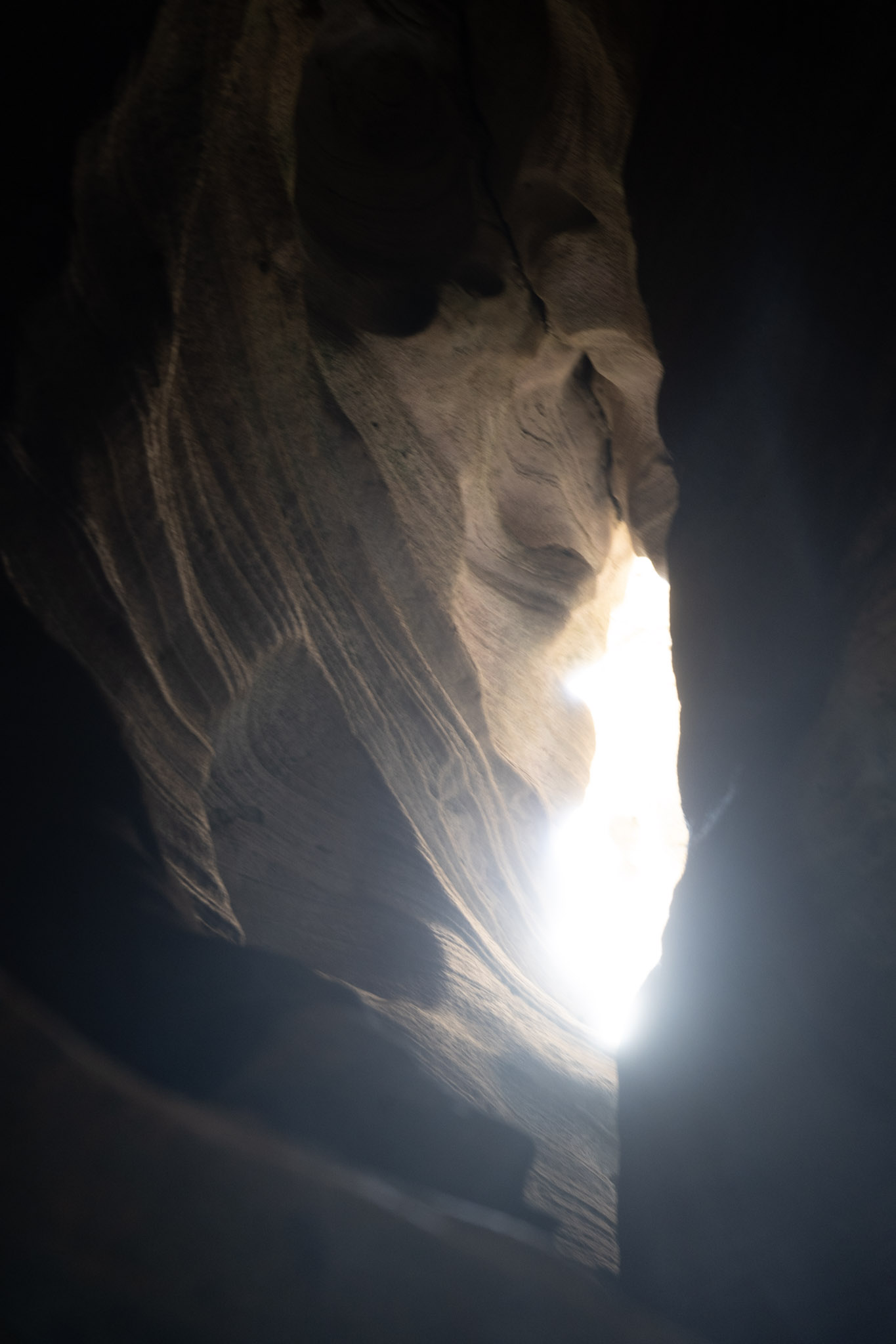 2021-01-02_Arecibo - foto 167