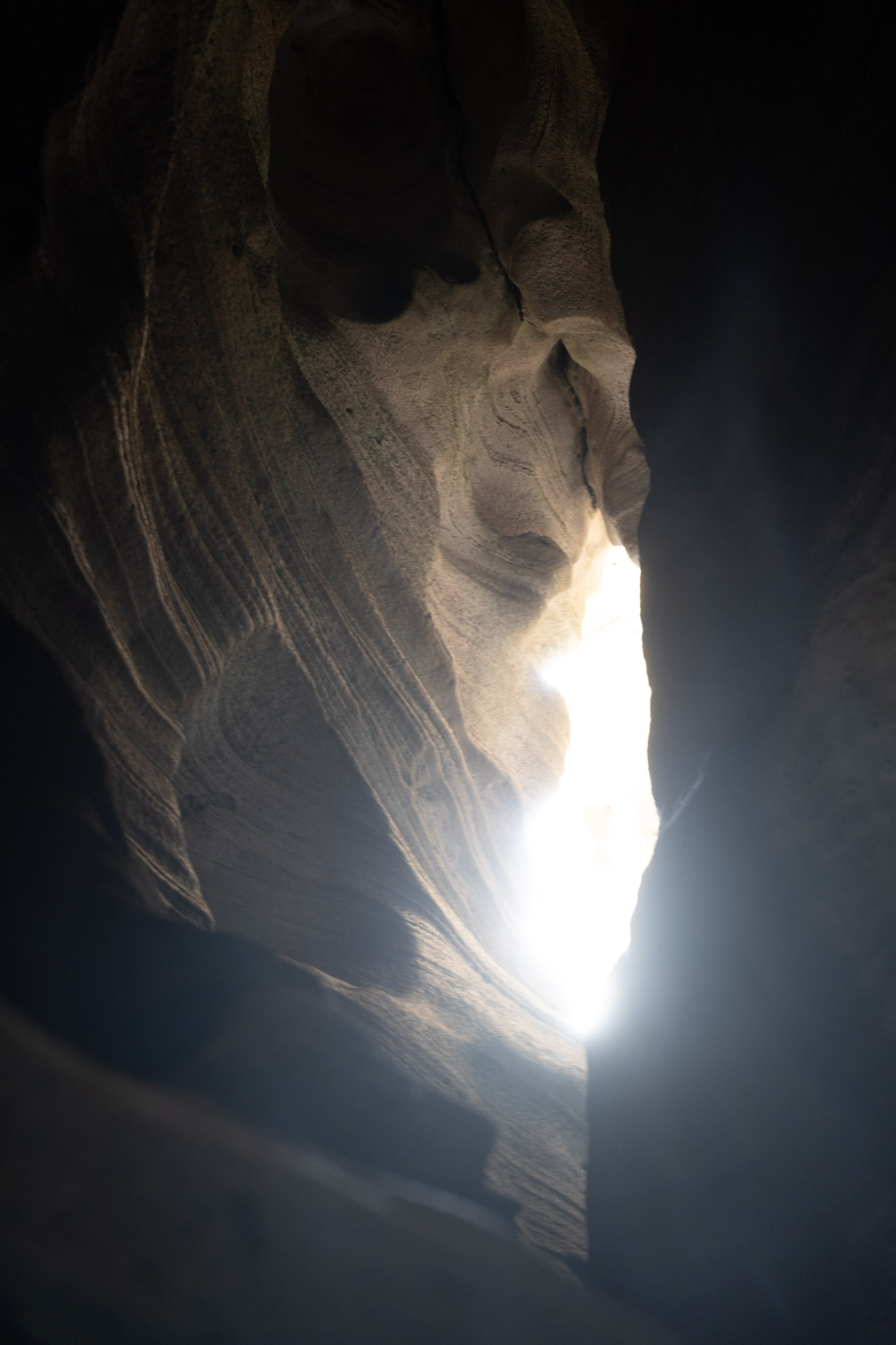 2021-01-02_Arecibo - foto 168