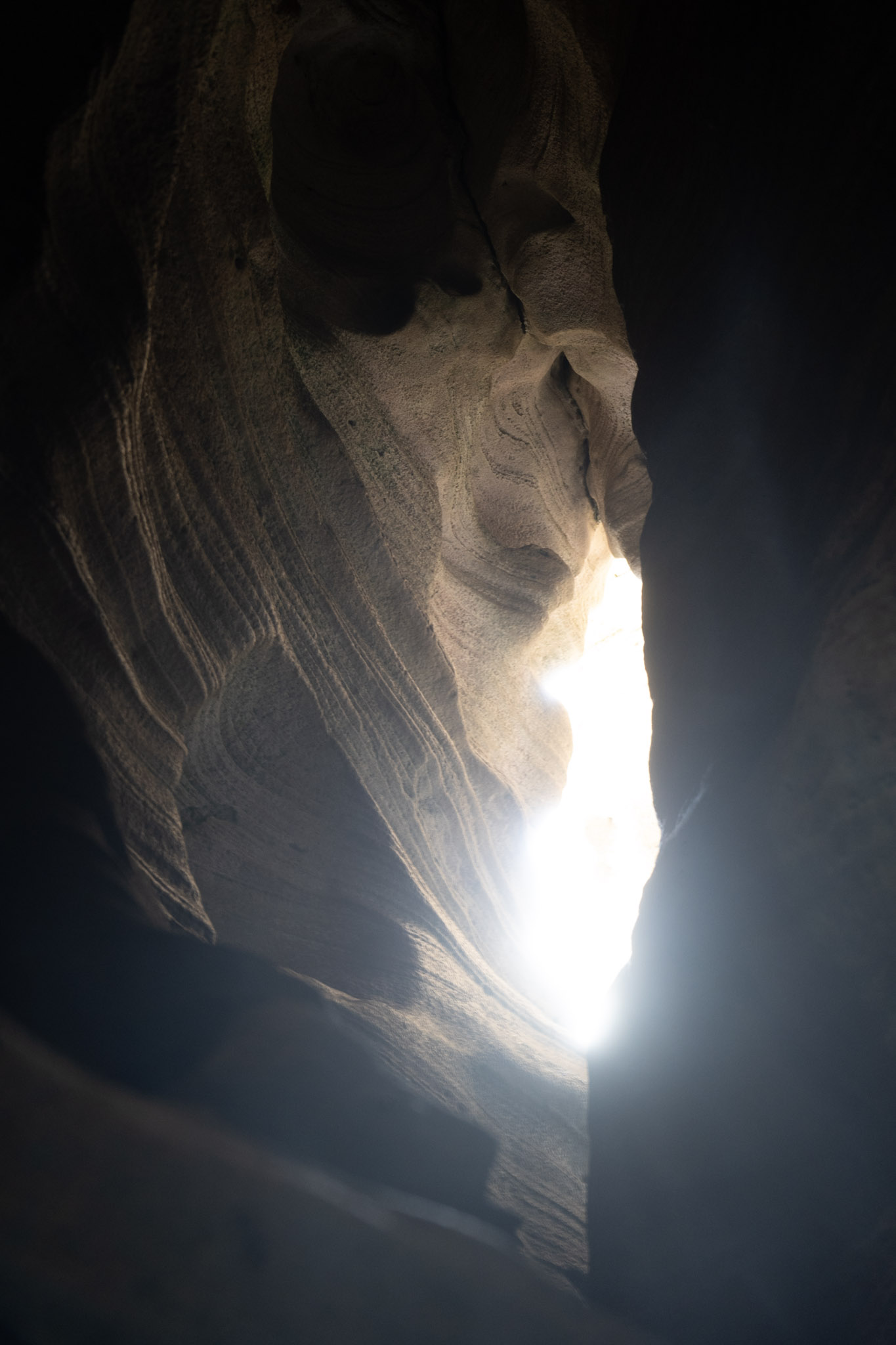 2021-01-02_Arecibo - foto 169