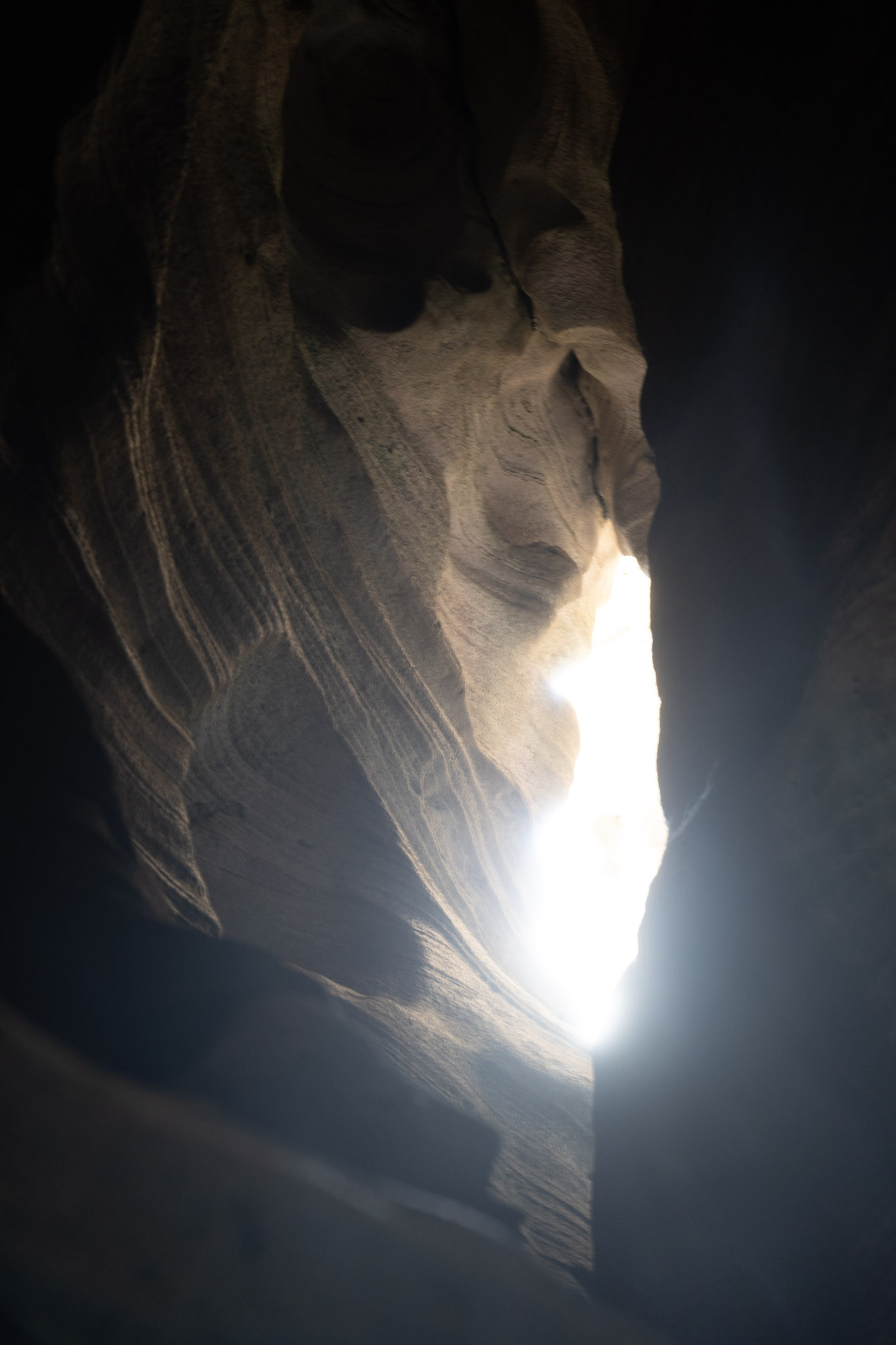 2021-01-02_Arecibo - foto 170