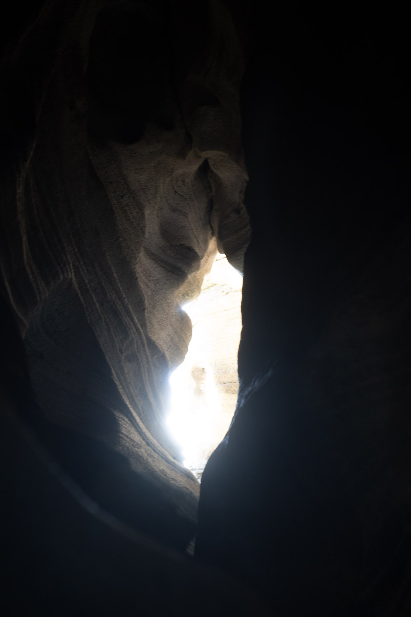 2021-01-02_Arecibo - foto 171