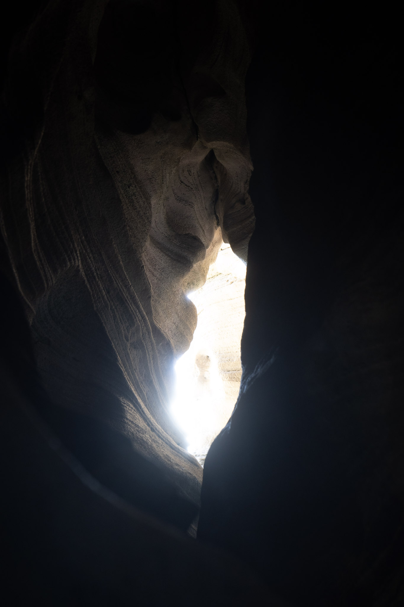 2021-01-02_Arecibo - foto 172