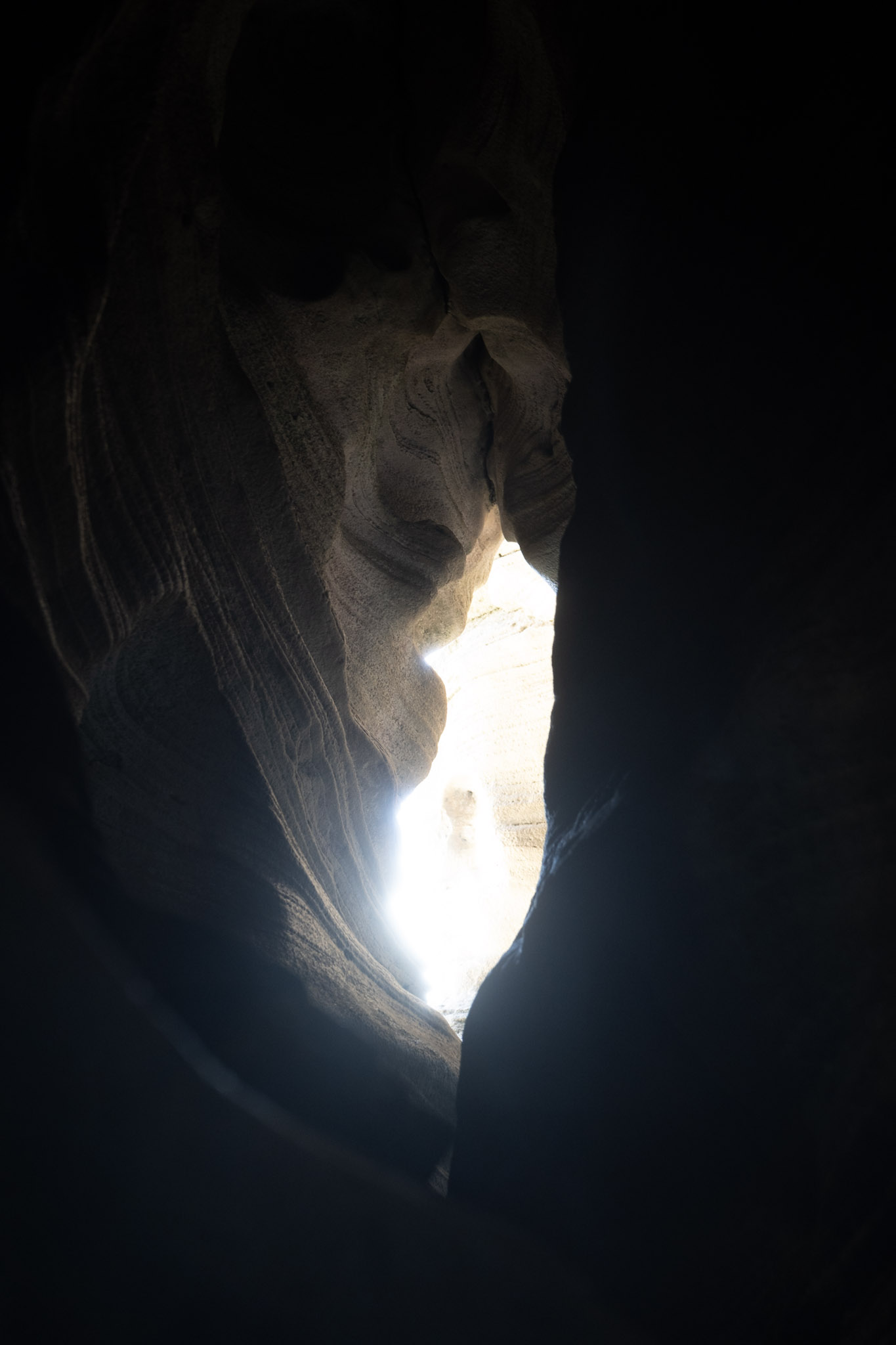 2021-01-02_Arecibo - foto 174