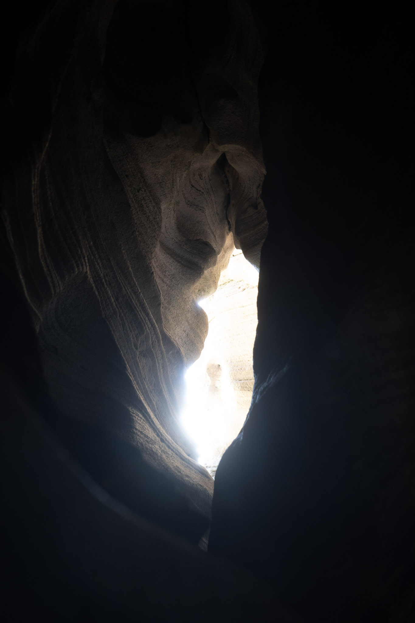 2021-01-02_Arecibo - foto 175