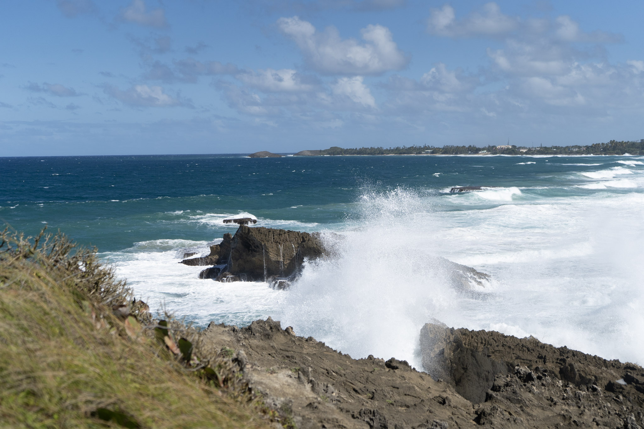 Arecibo - foto 3