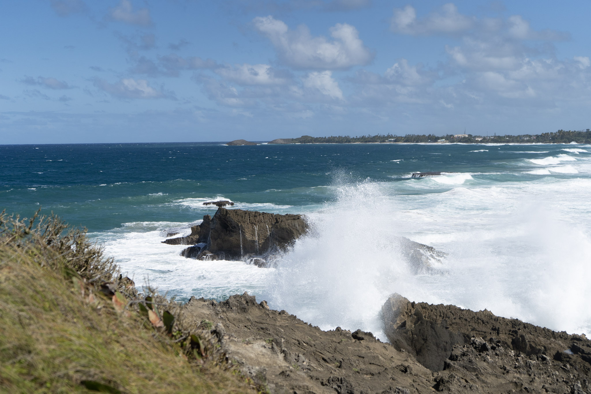 Arecibo - foto 4