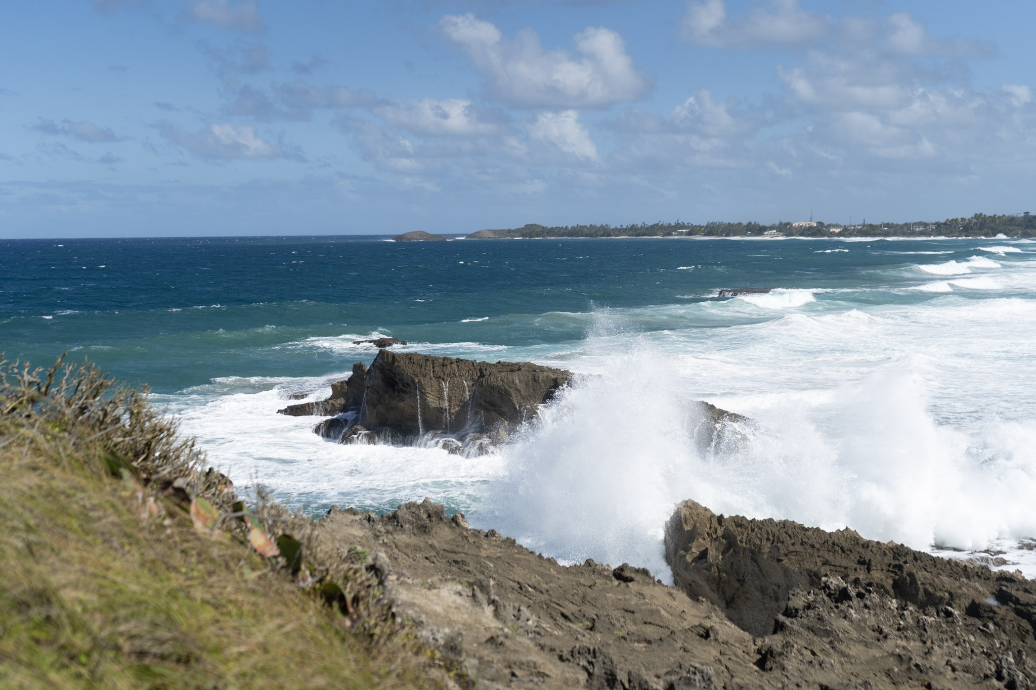 Arecibo - foto 5