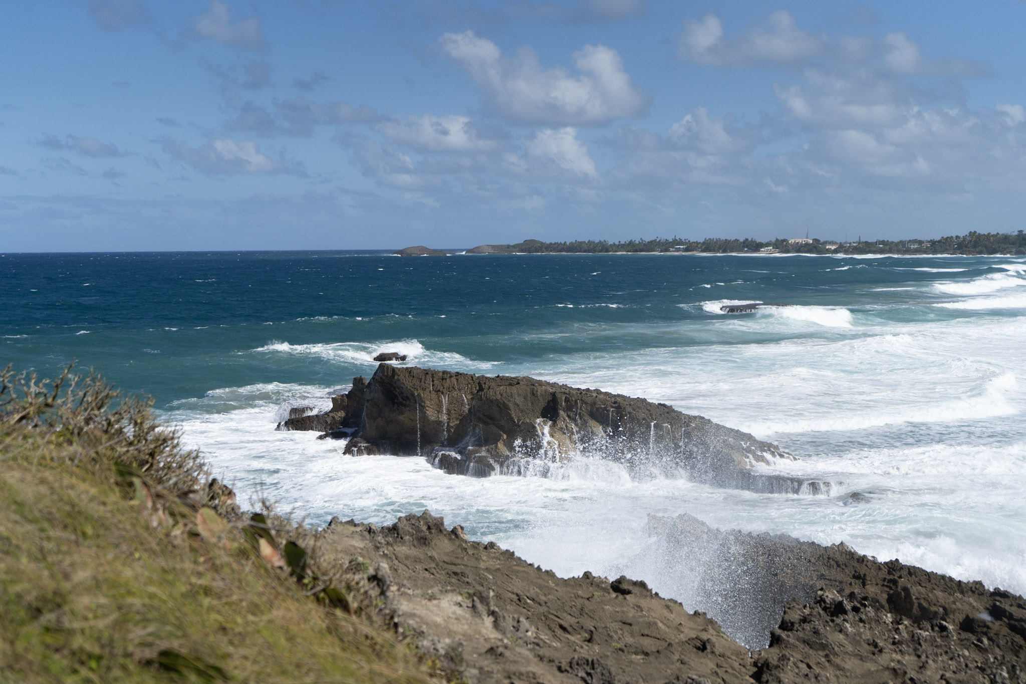 Arecibo - foto 6