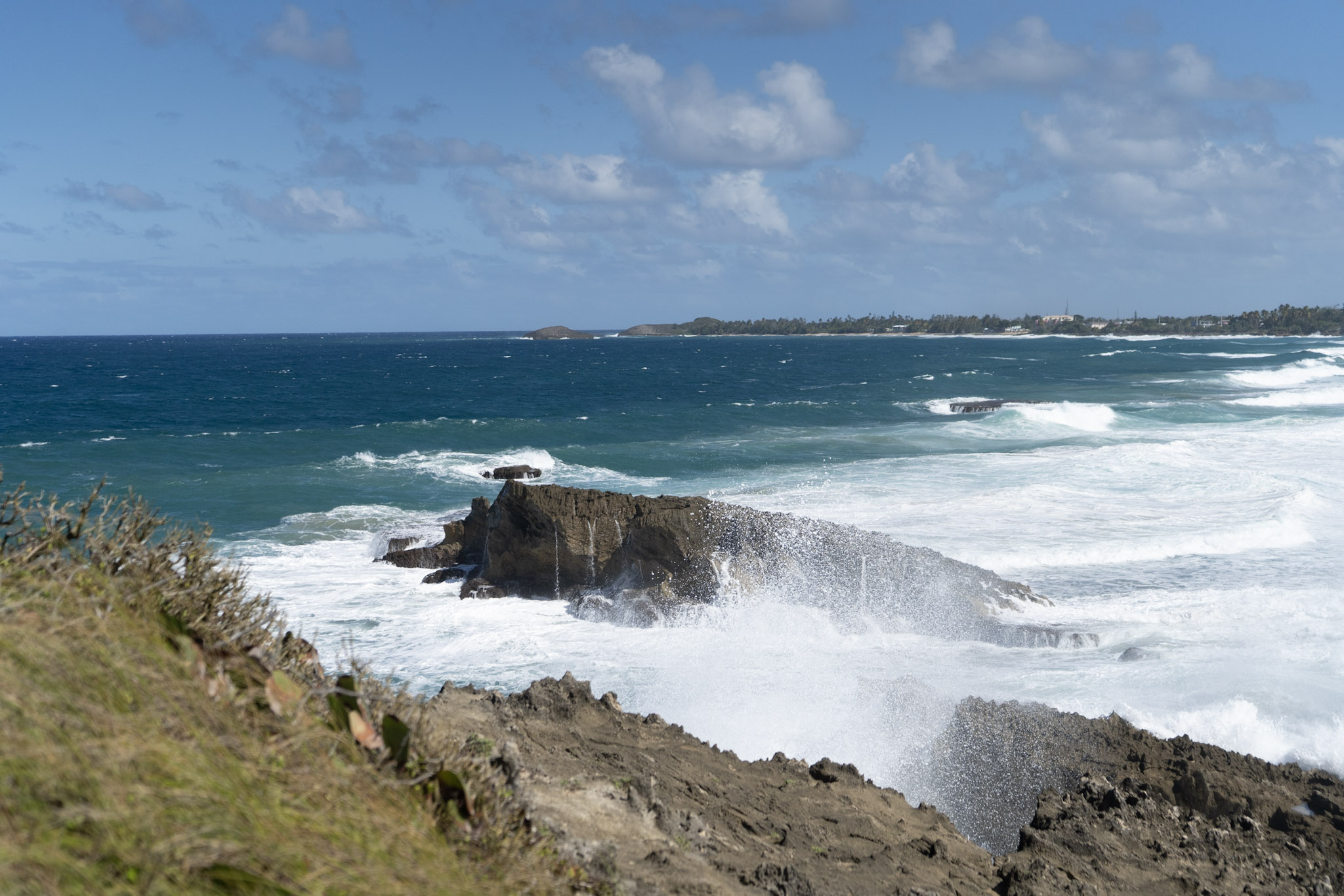 Arecibo - foto 7