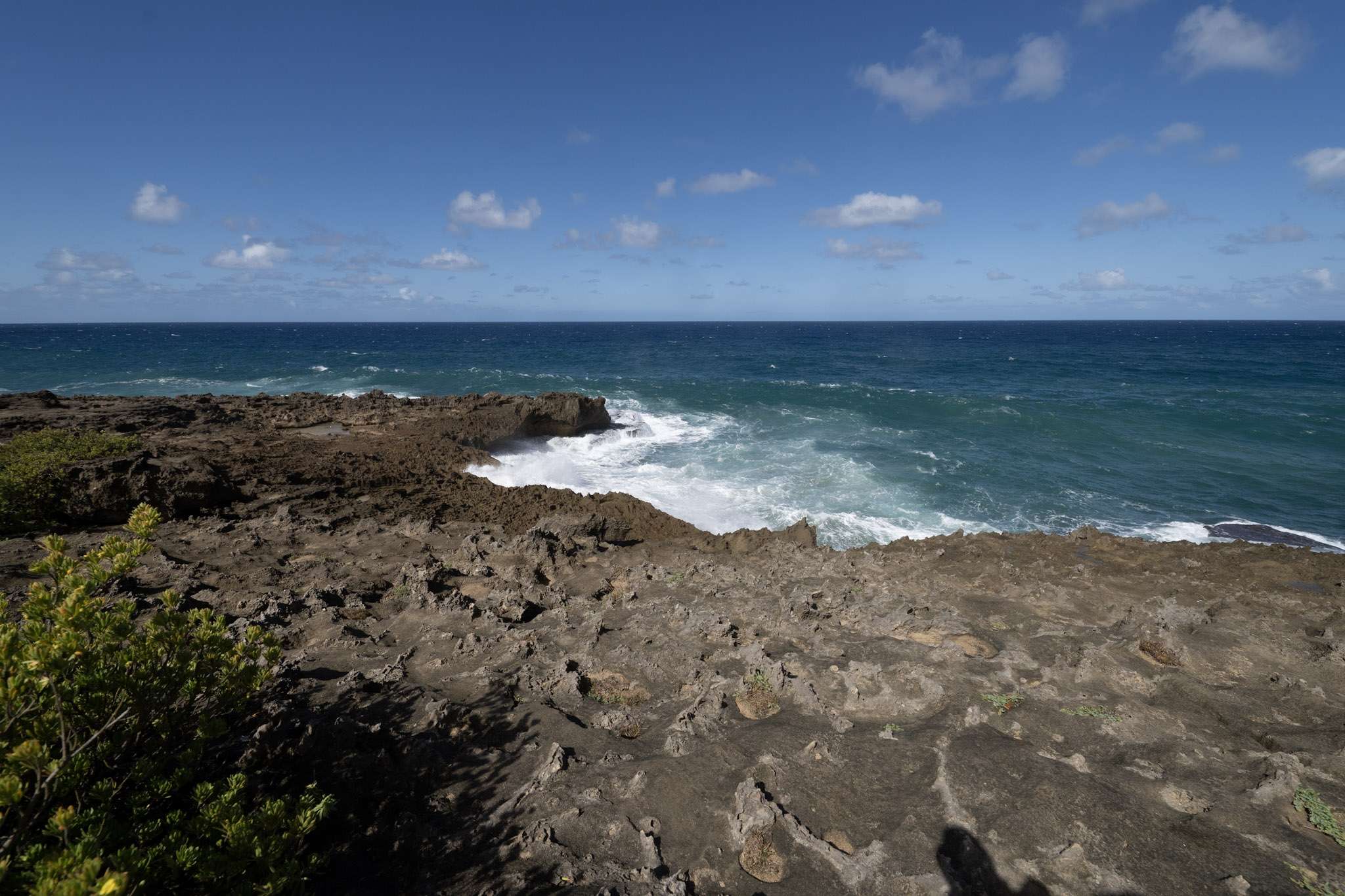 Arecibo - foto 63