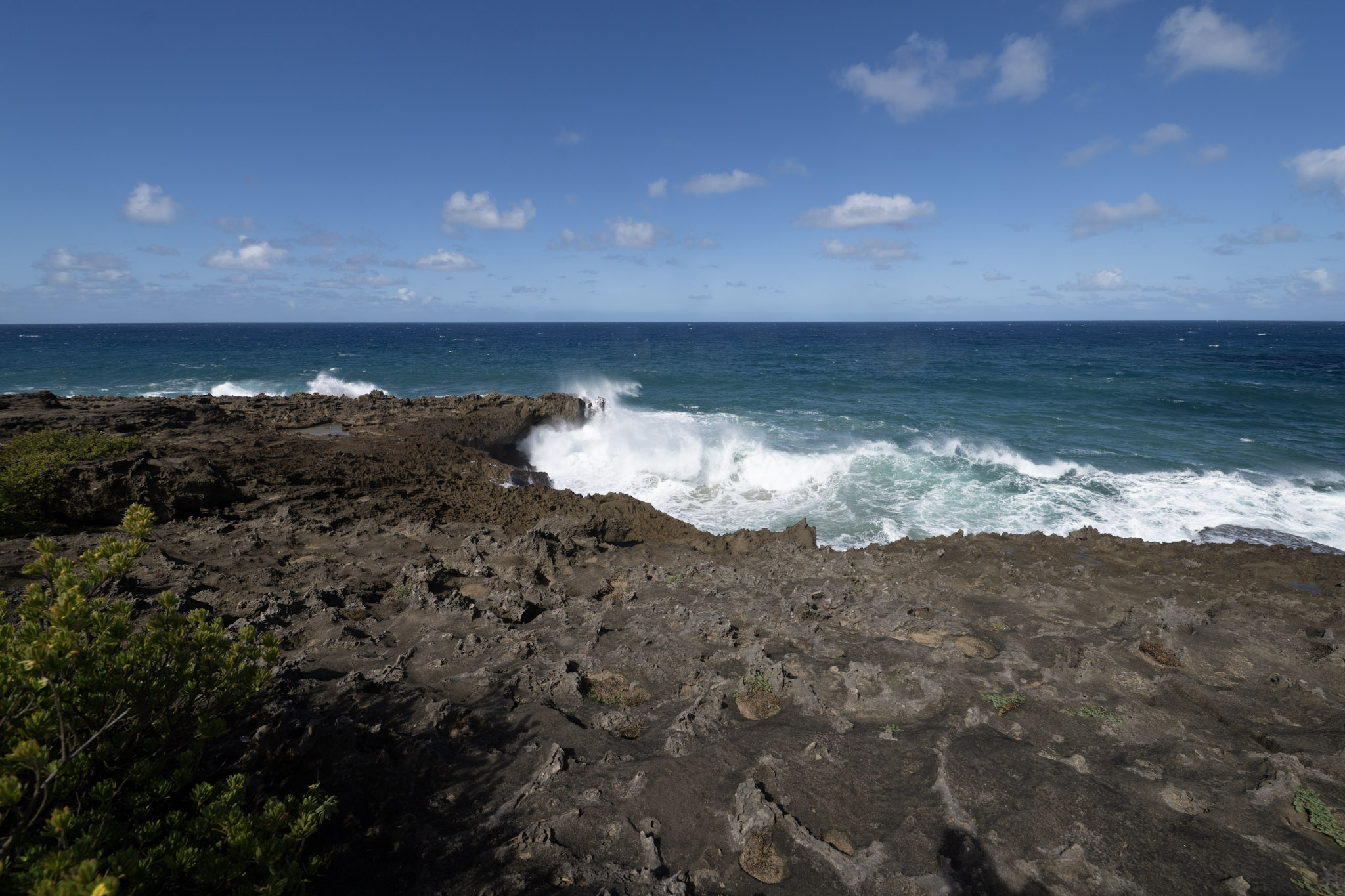 Arecibo - foto 65