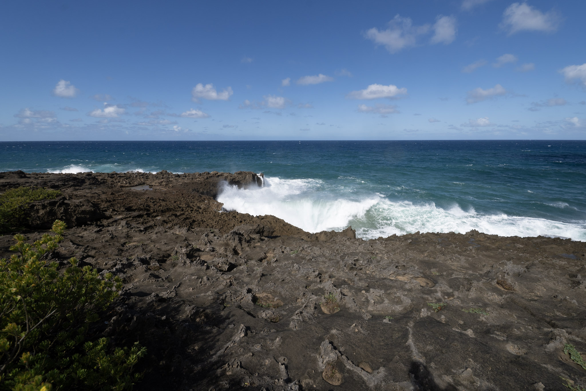 Arecibo - foto 71