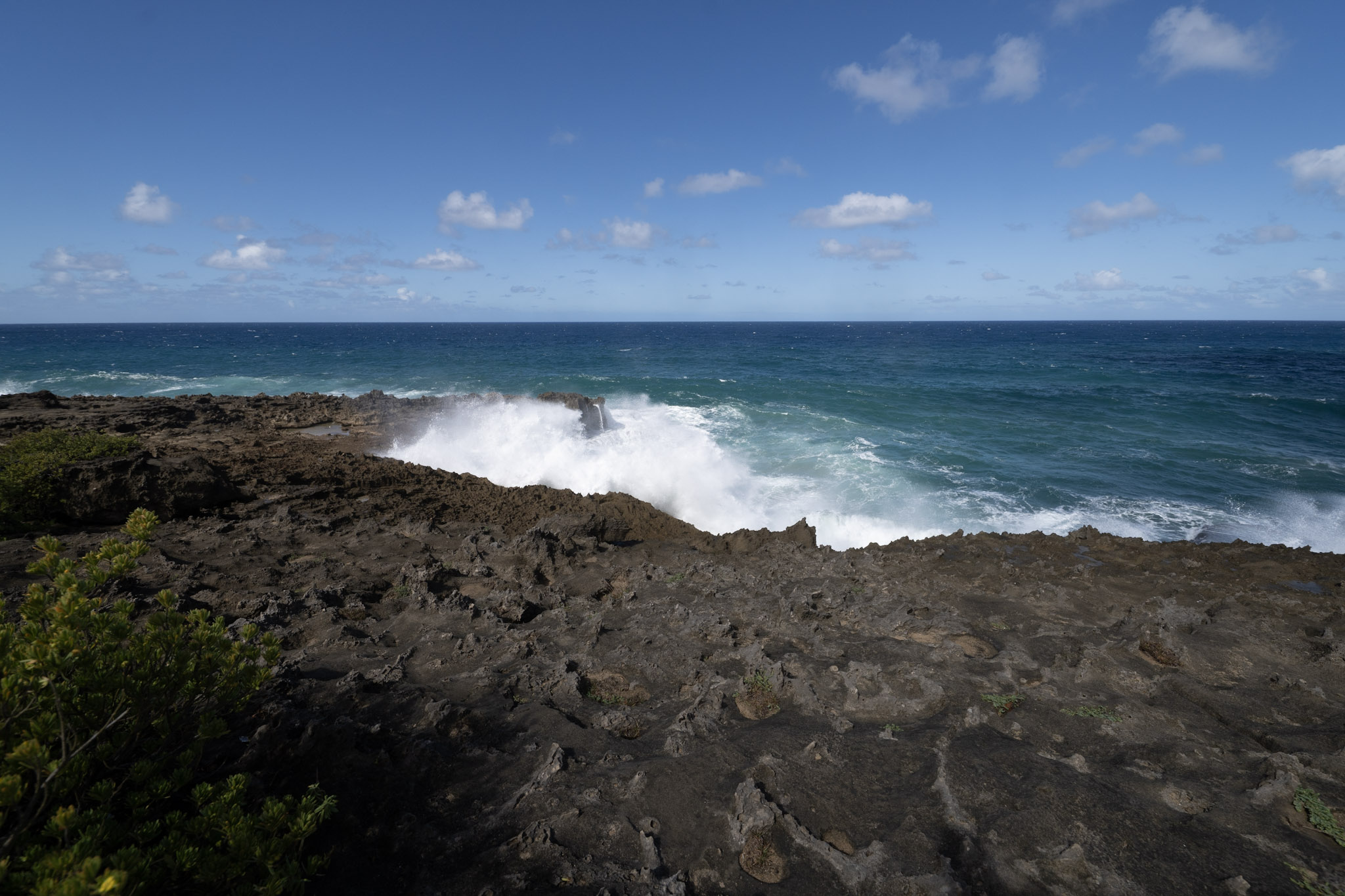 Arecibo - foto 73