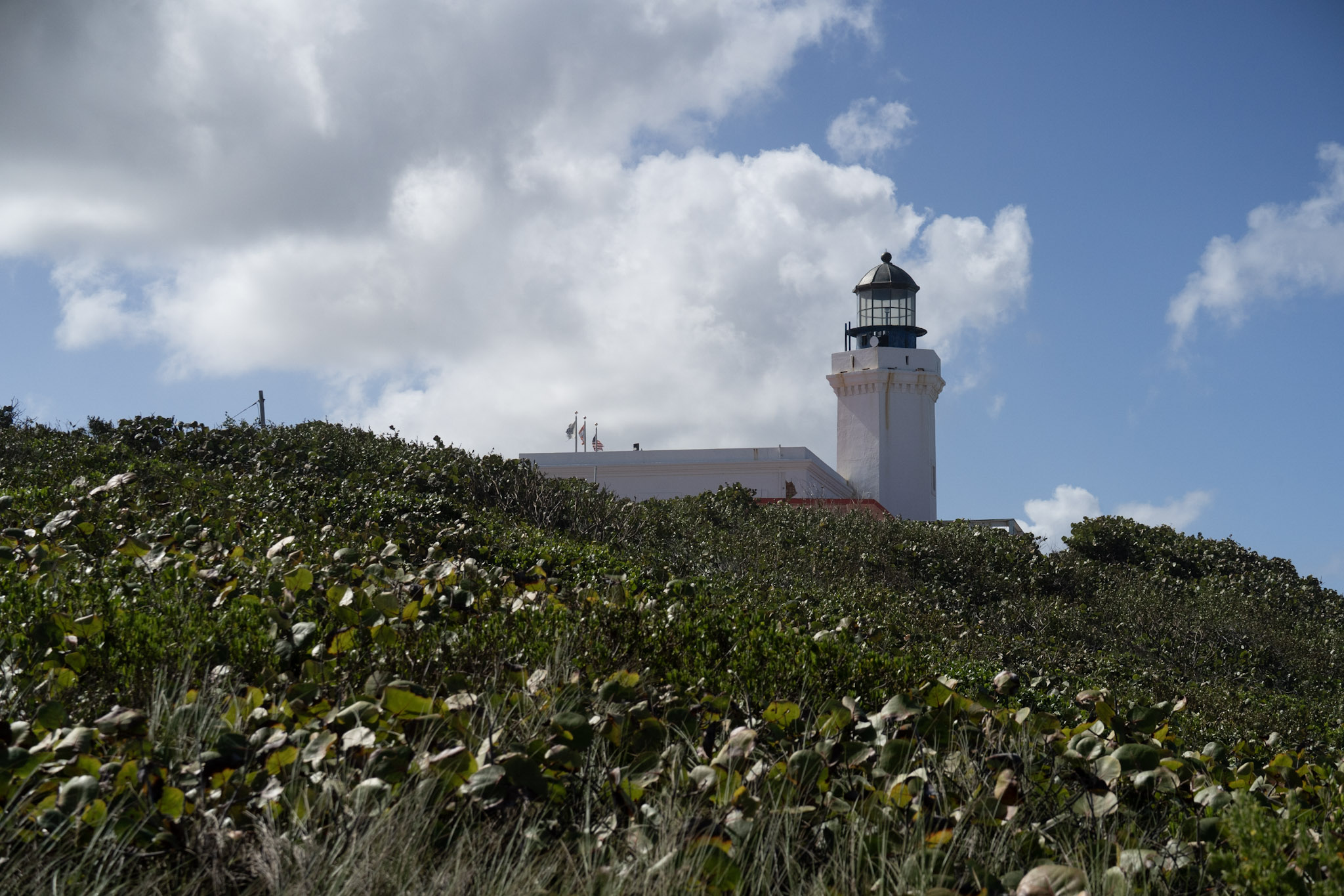 Arecibo - foto 107