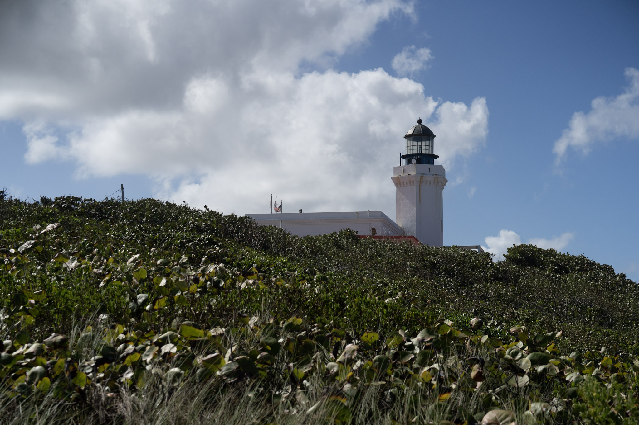 Arecibo - foto 108