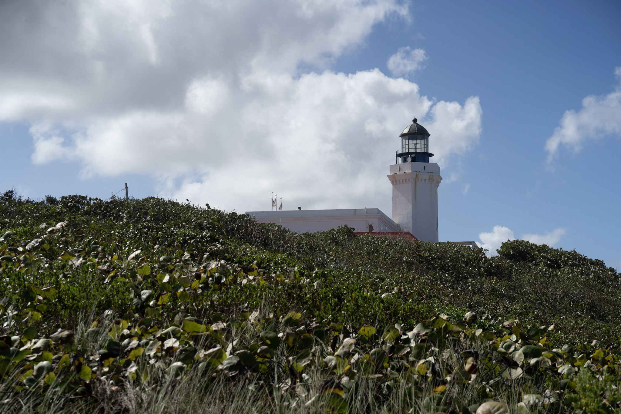 Arecibo - foto 109