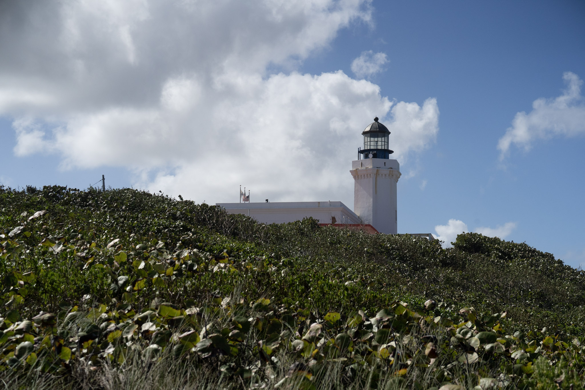 Arecibo - foto 110