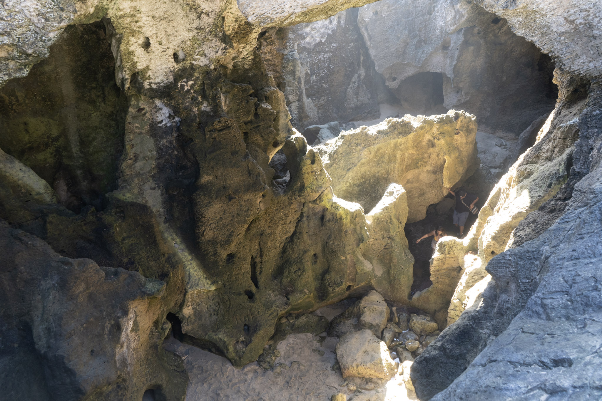 Arecibo - foto 142