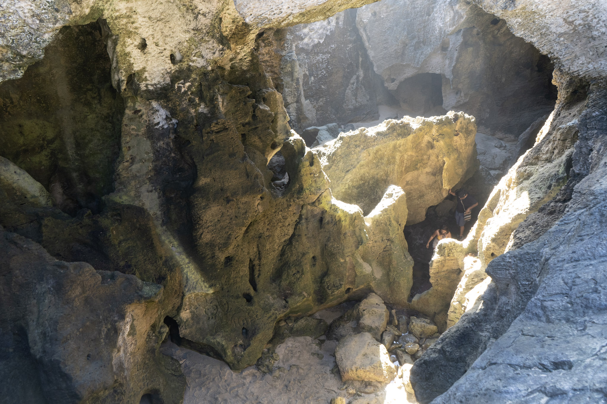 Arecibo - foto 143
