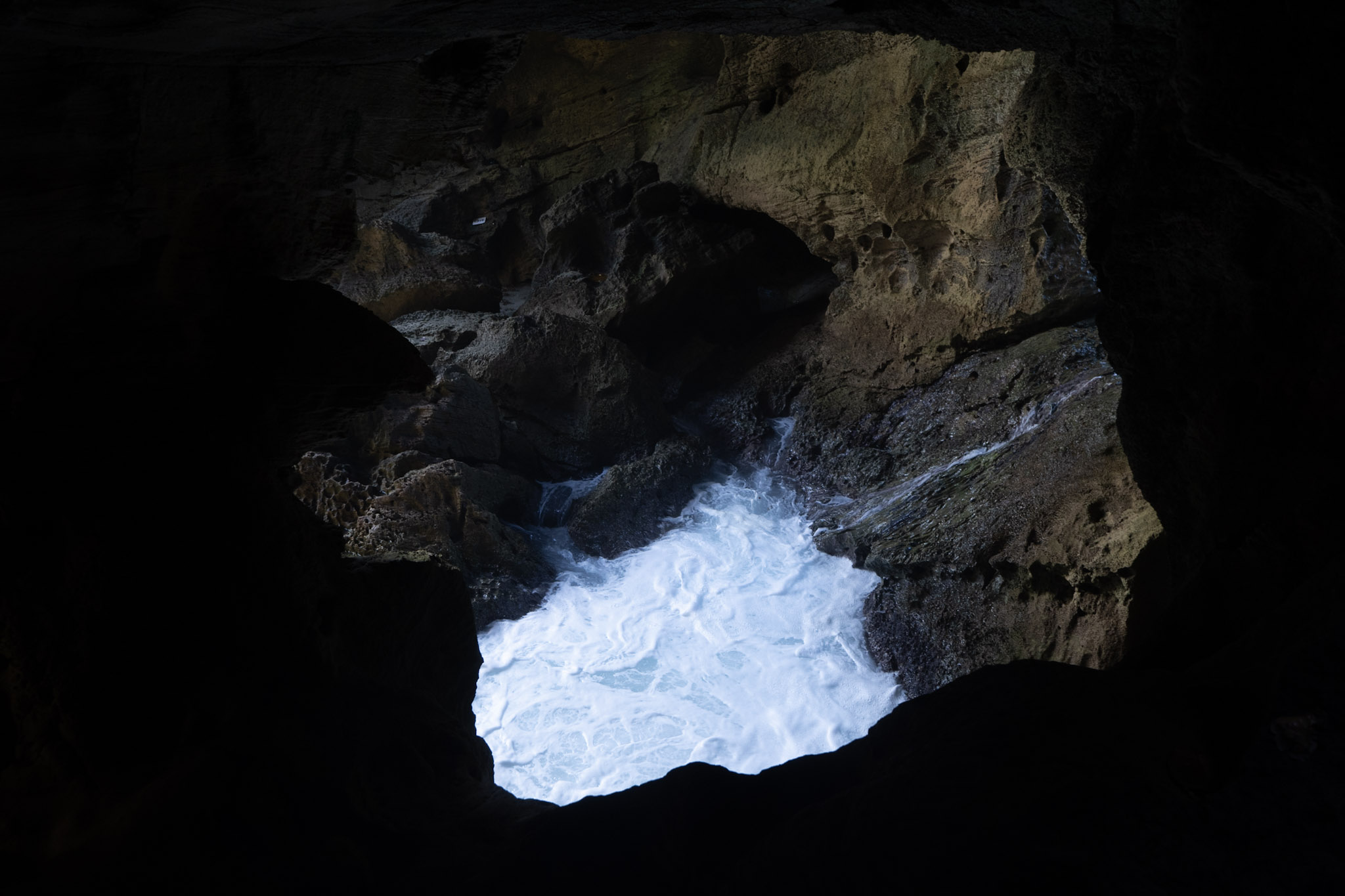 Arecibo - foto 177