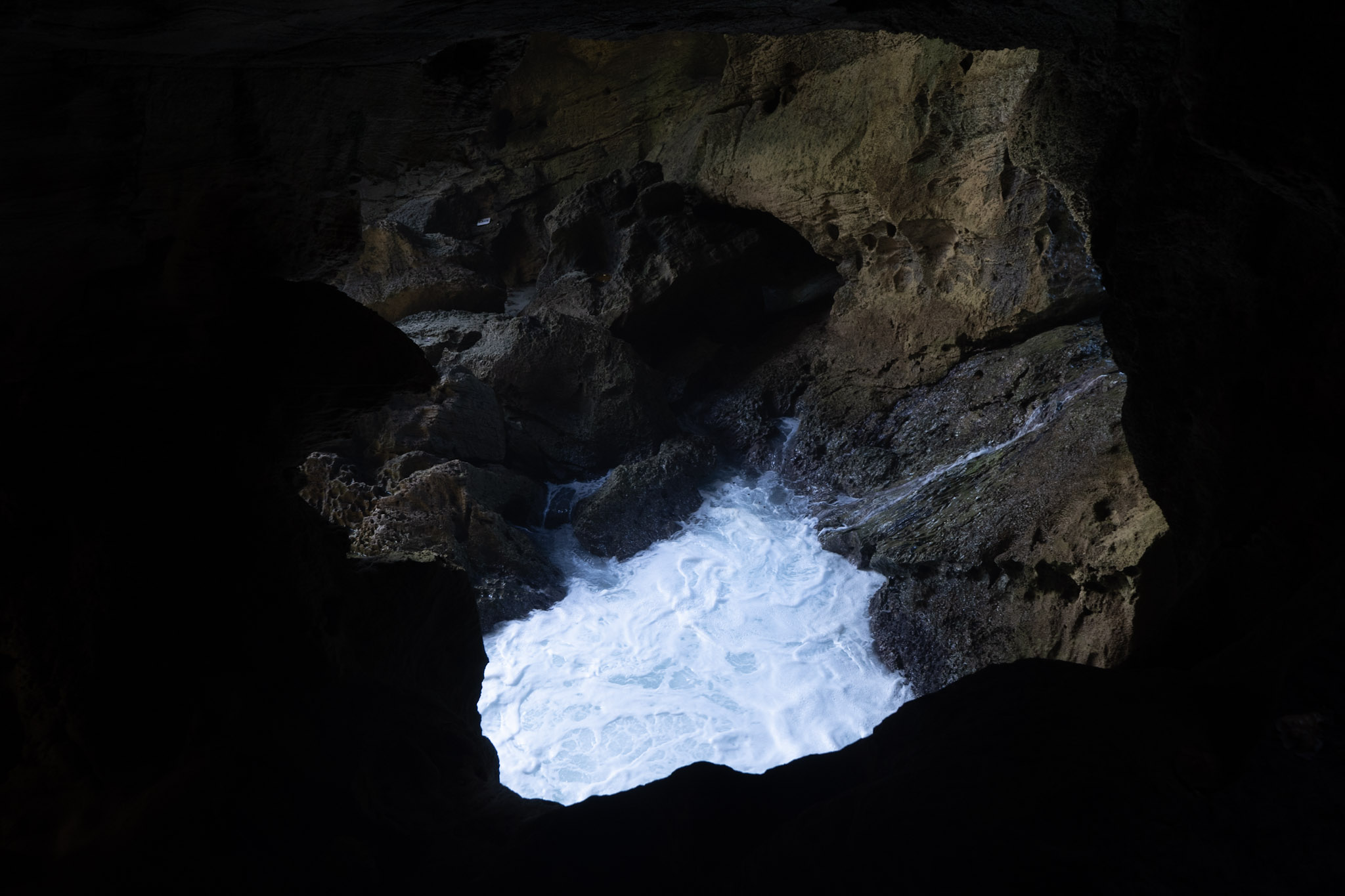 Arecibo - foto 178