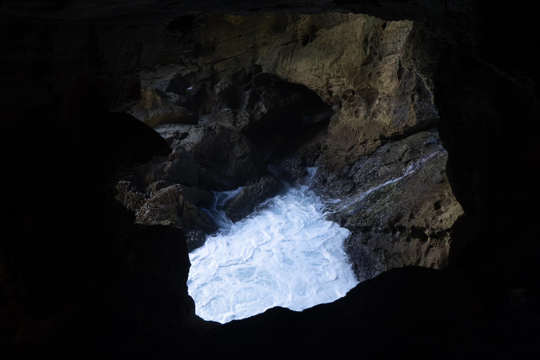 Arecibo - foto 179