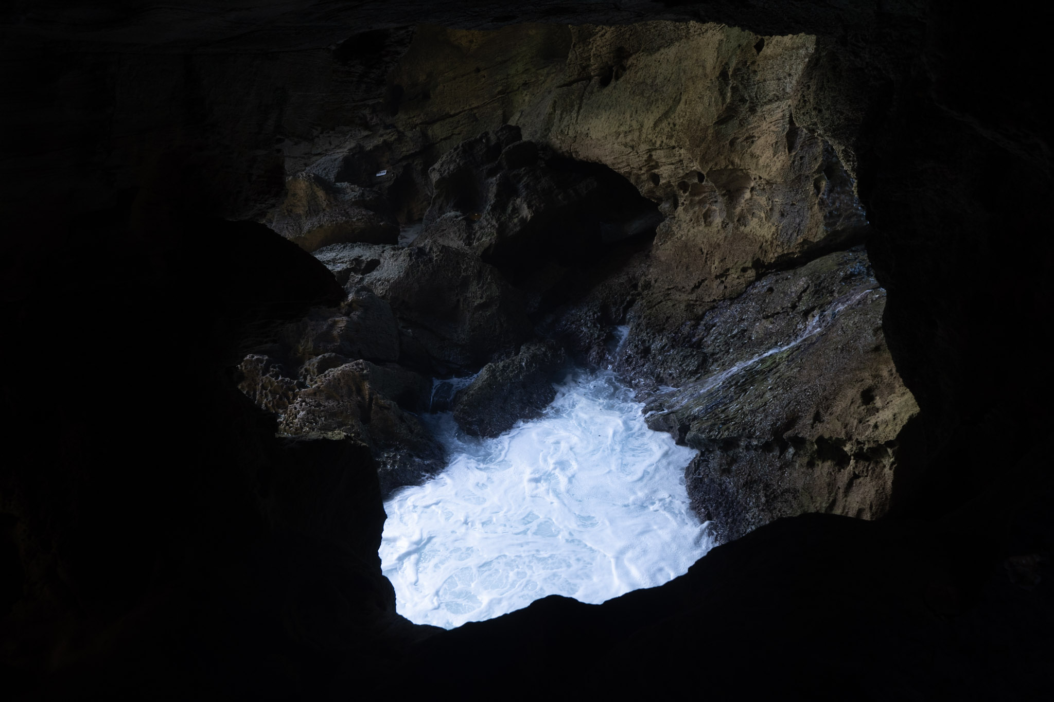 Arecibo - foto 180
